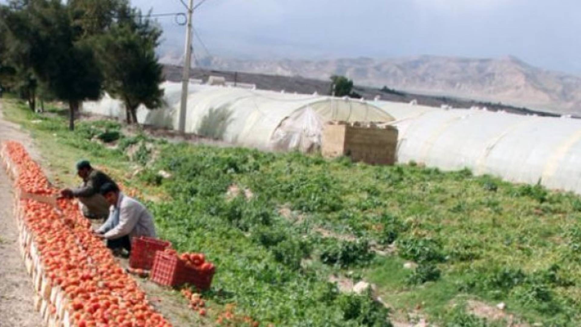 الصورة أرشيفية 
