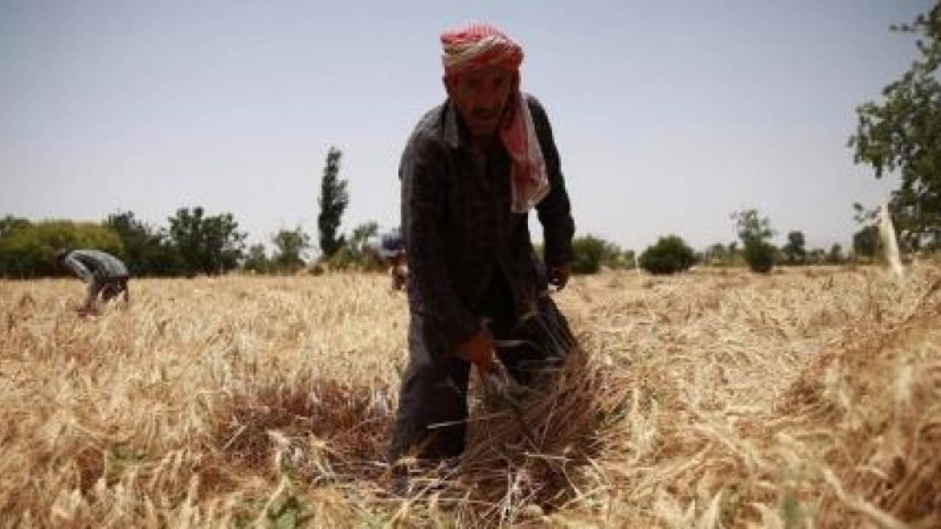 الصورة أرشيفية 
