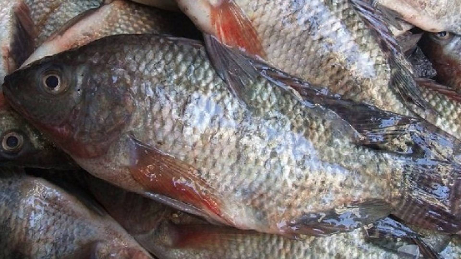 الصورة أرشيفية 