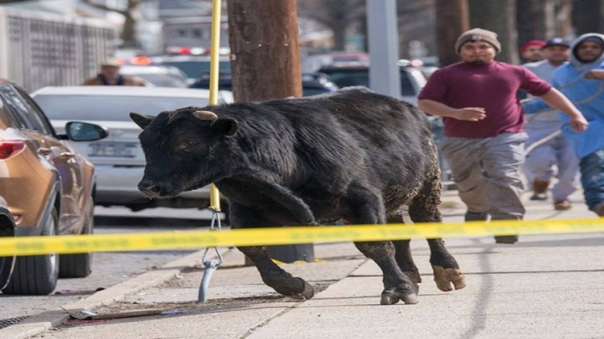 الصورة أرشيفية 