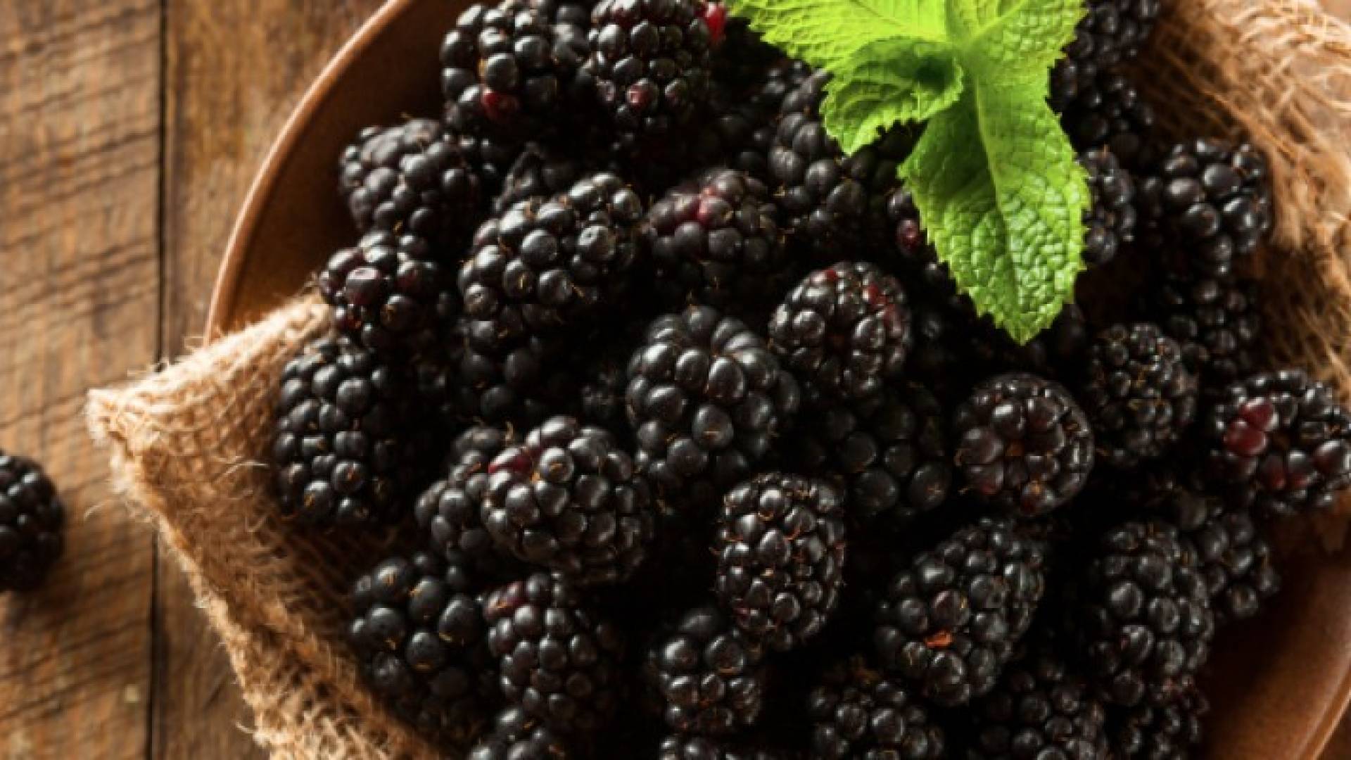 التوت الأسود