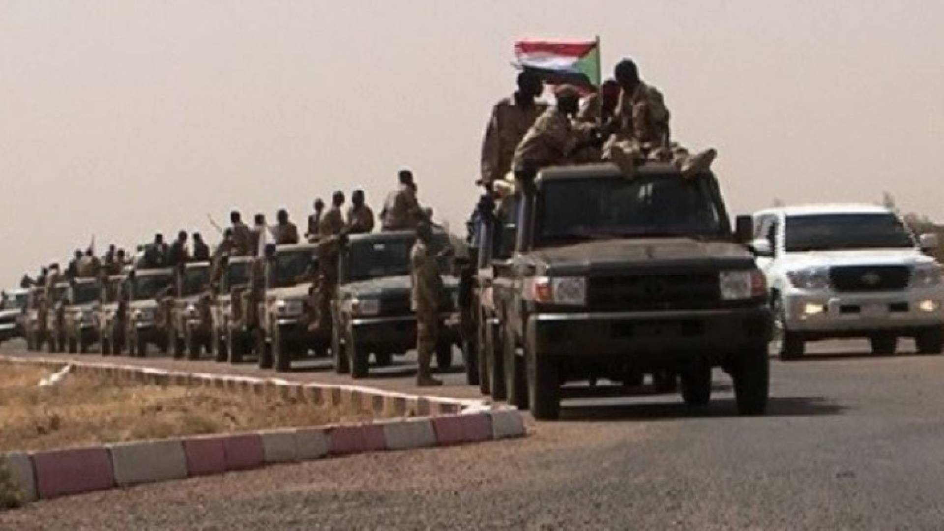 ارشيفية