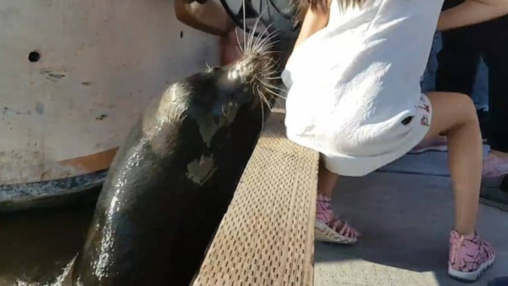 الصورة من الفيديو