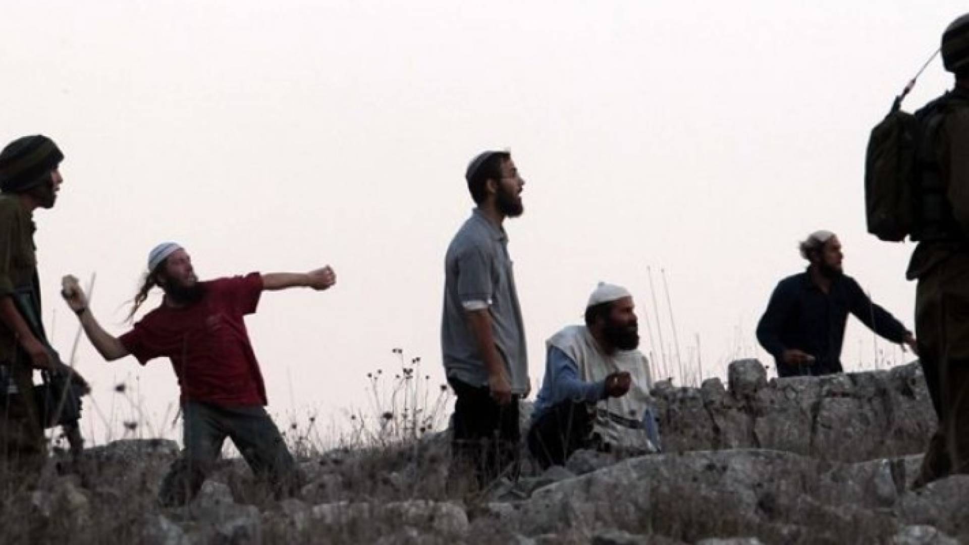 ارشيفية