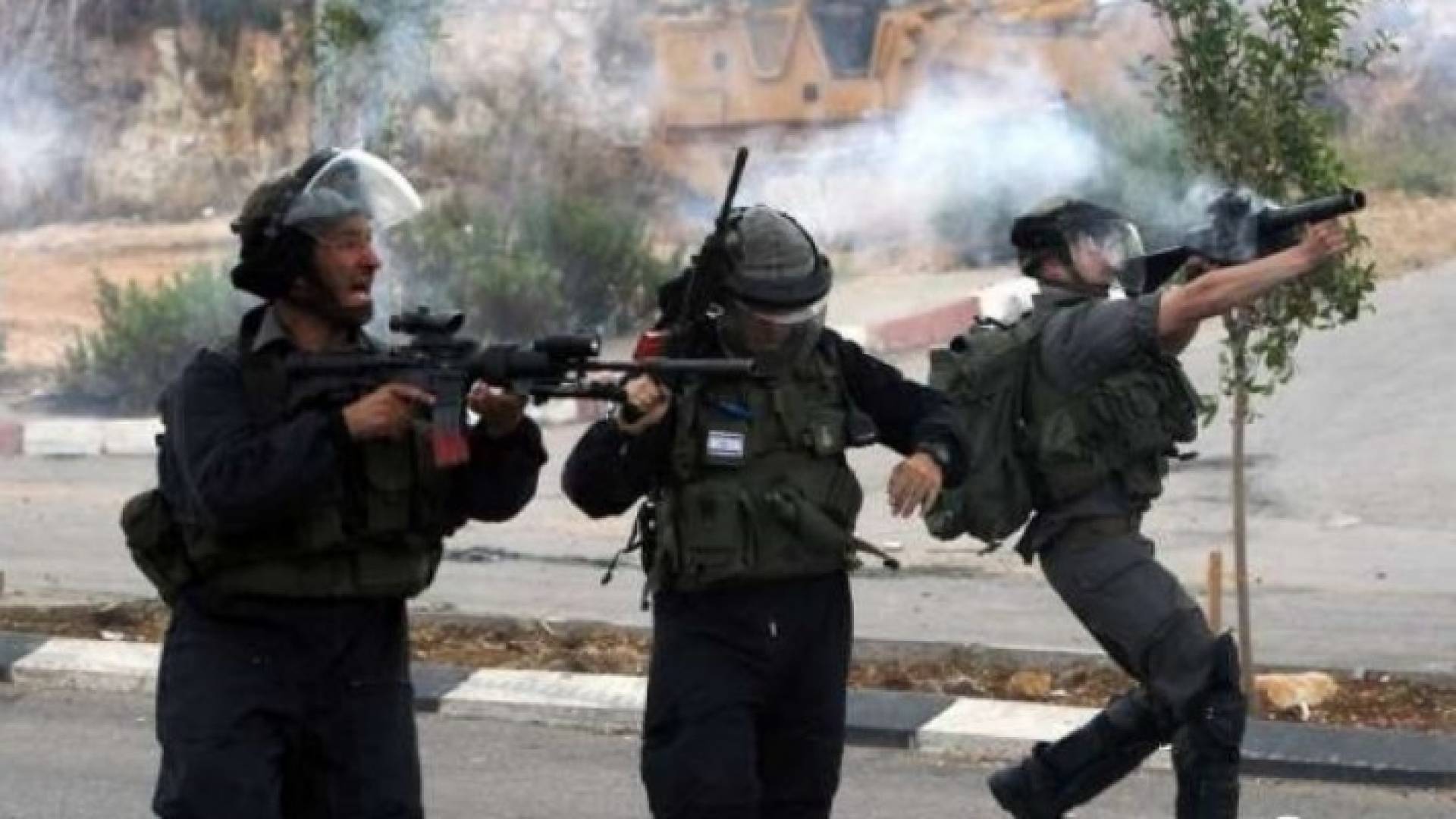 ارشيفية 