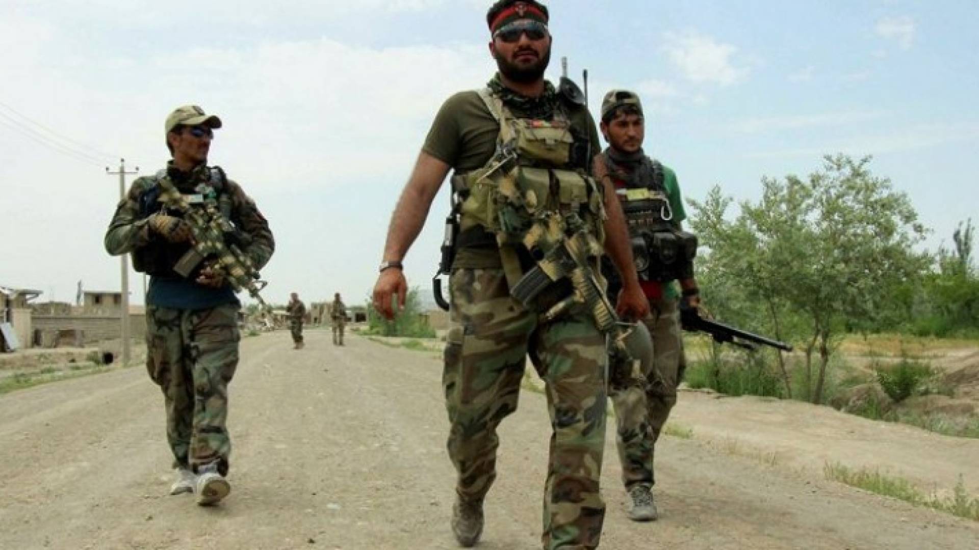 ارشيفية 