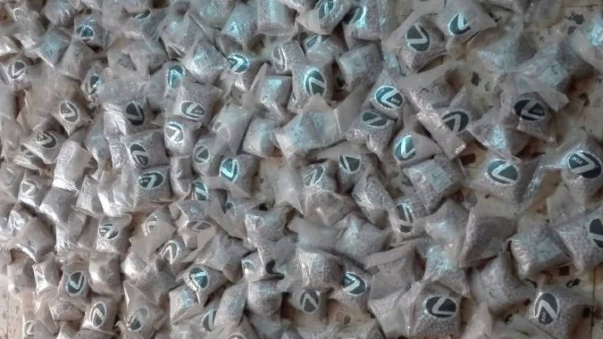 جانب من المضبوطات 