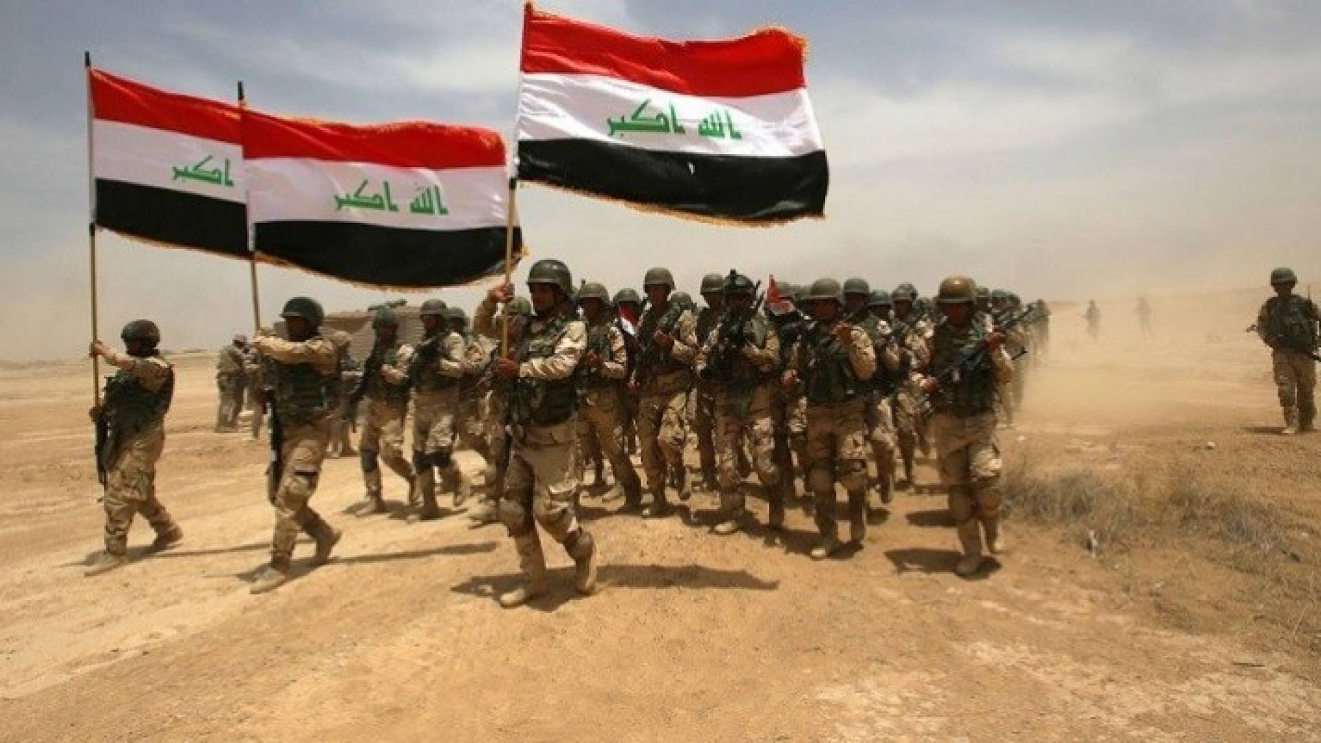 ارشيفية