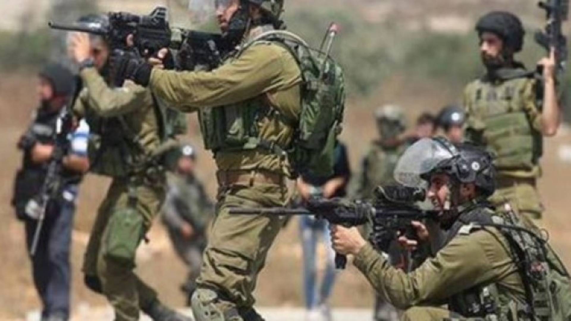 ارشيفية