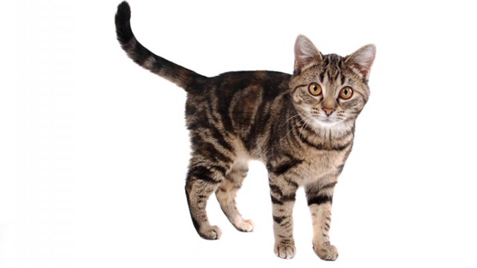 الصورة ارشيفية