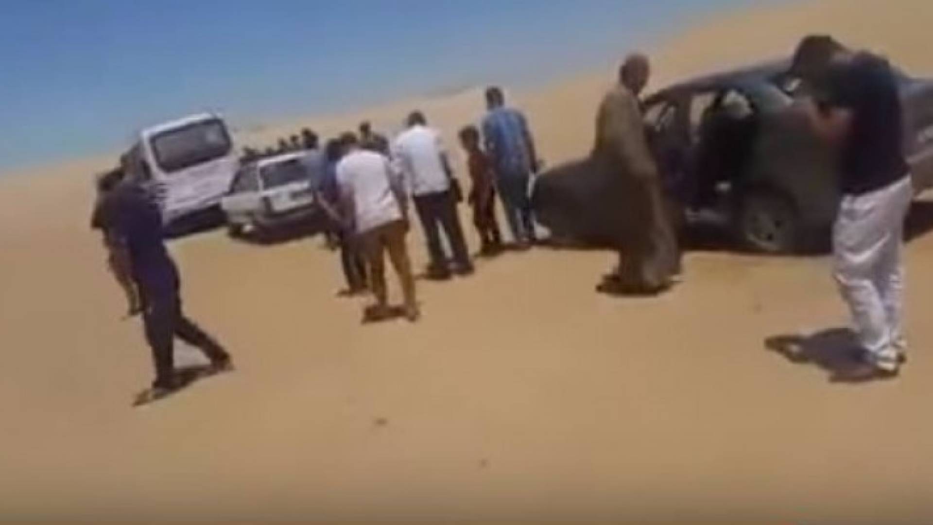 الصورة من الفيديو 