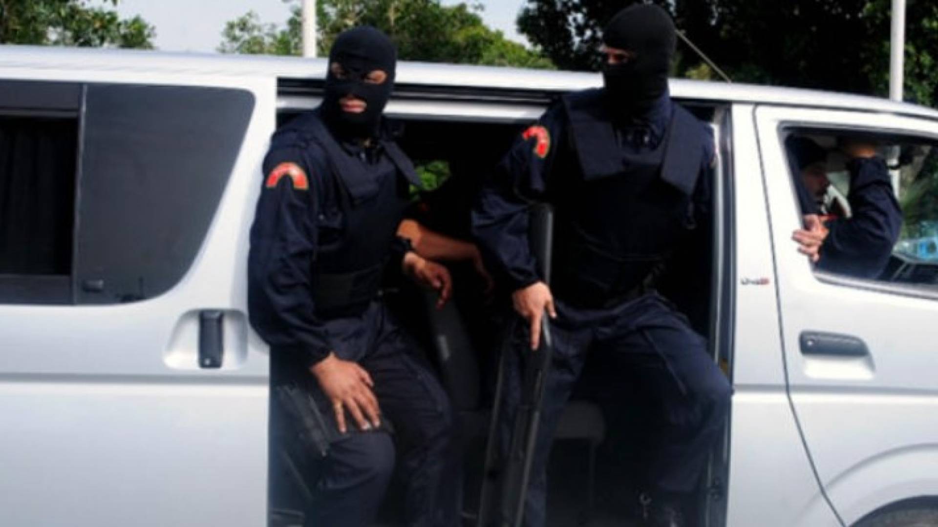 ارشيفية