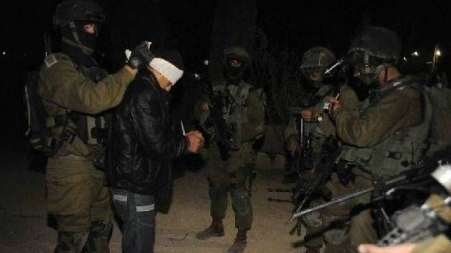 ارشيفية