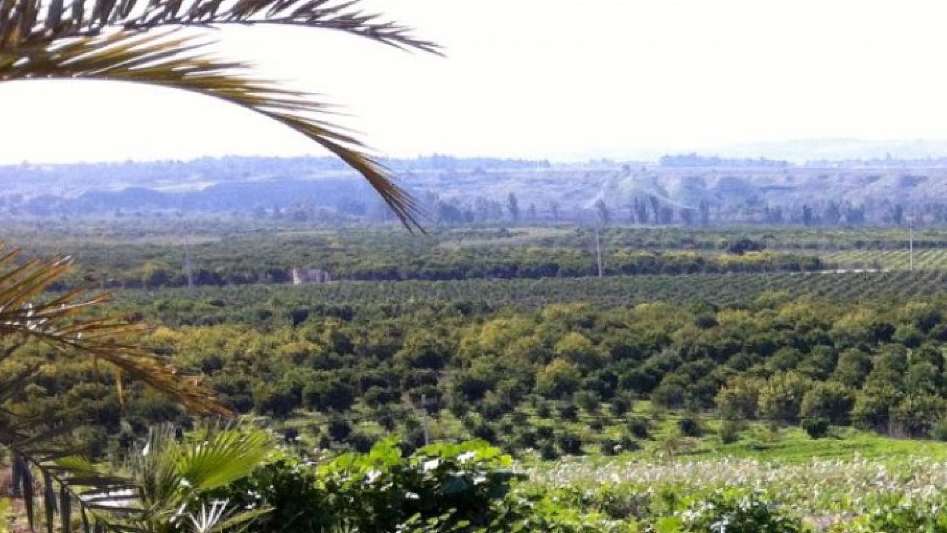 الصورة أرشيفية 