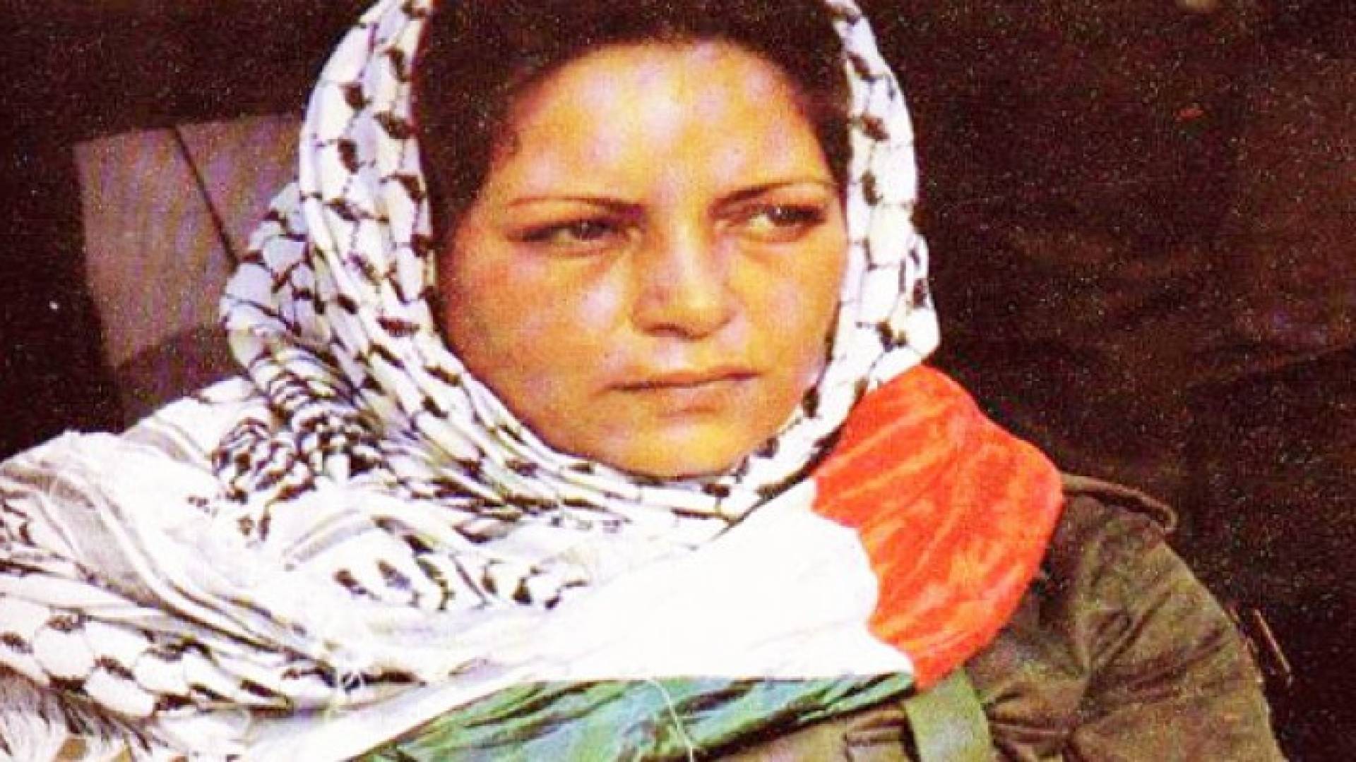 دلال المغربي