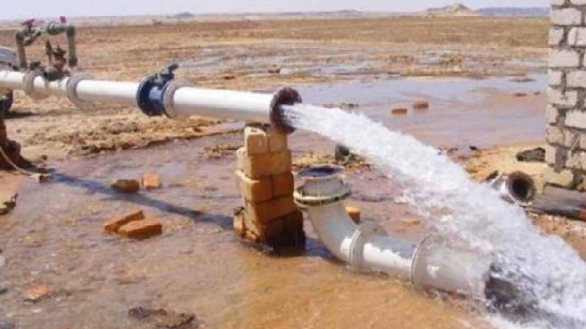 ارشيفية