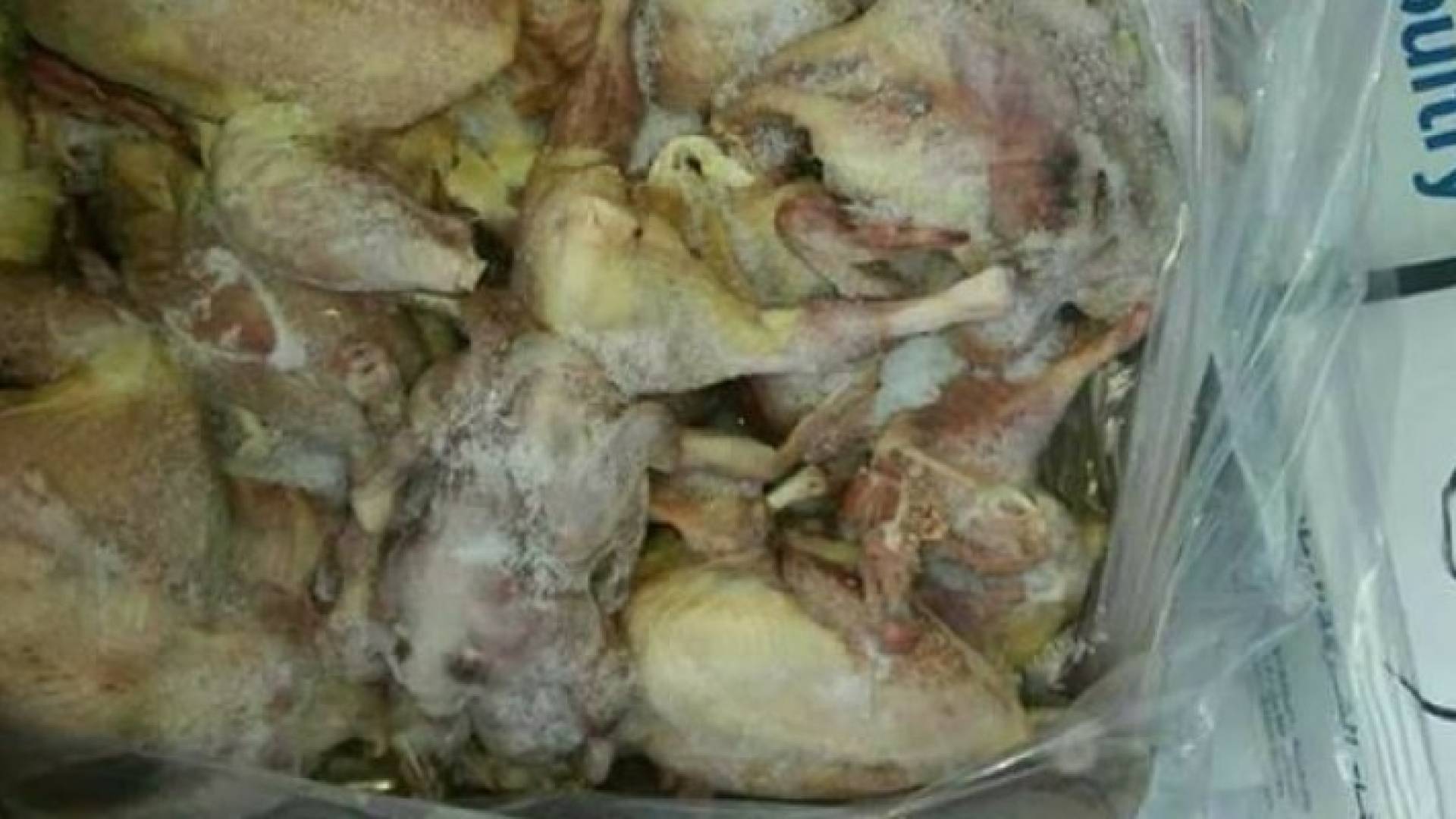 "حماية المستهلك" تطالب بمحاسبة المتورطين في قضية الدجاج الفاسد