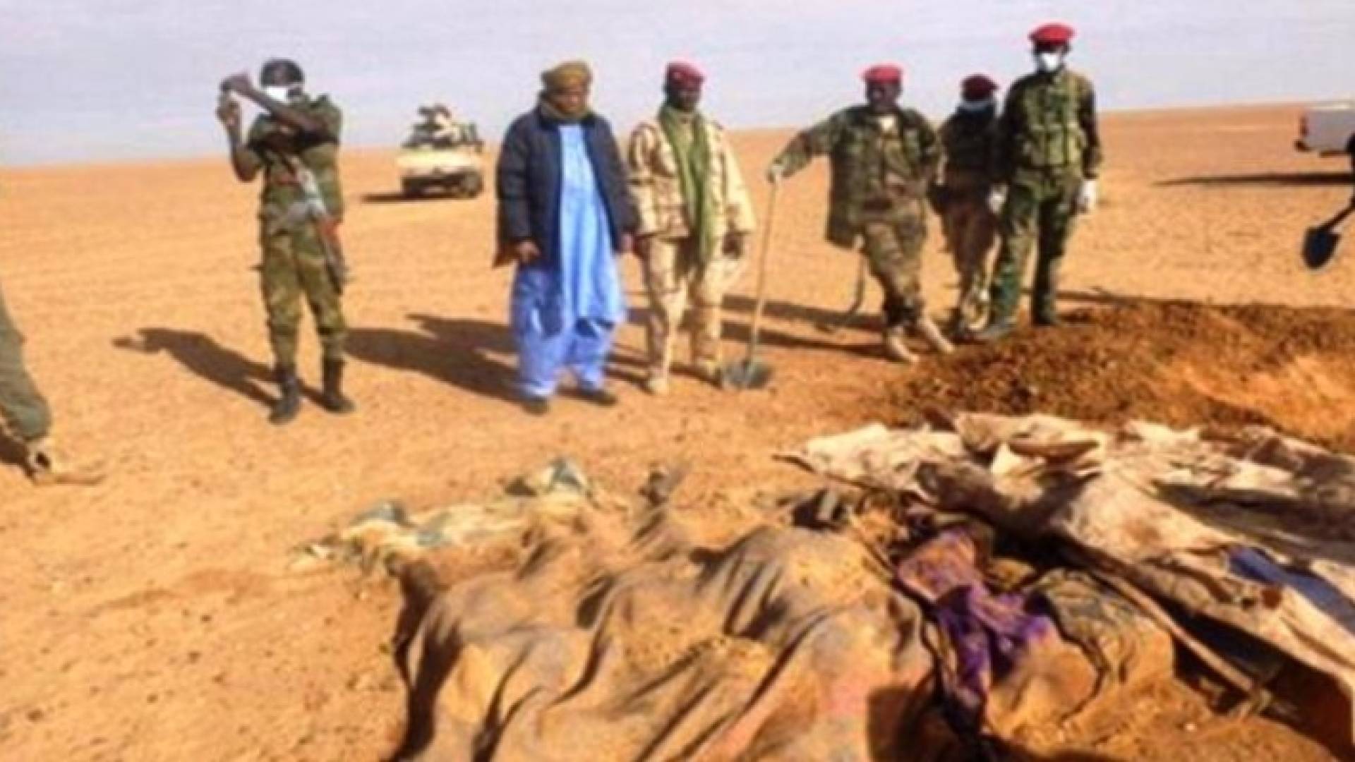 الصورة أرشيفية 