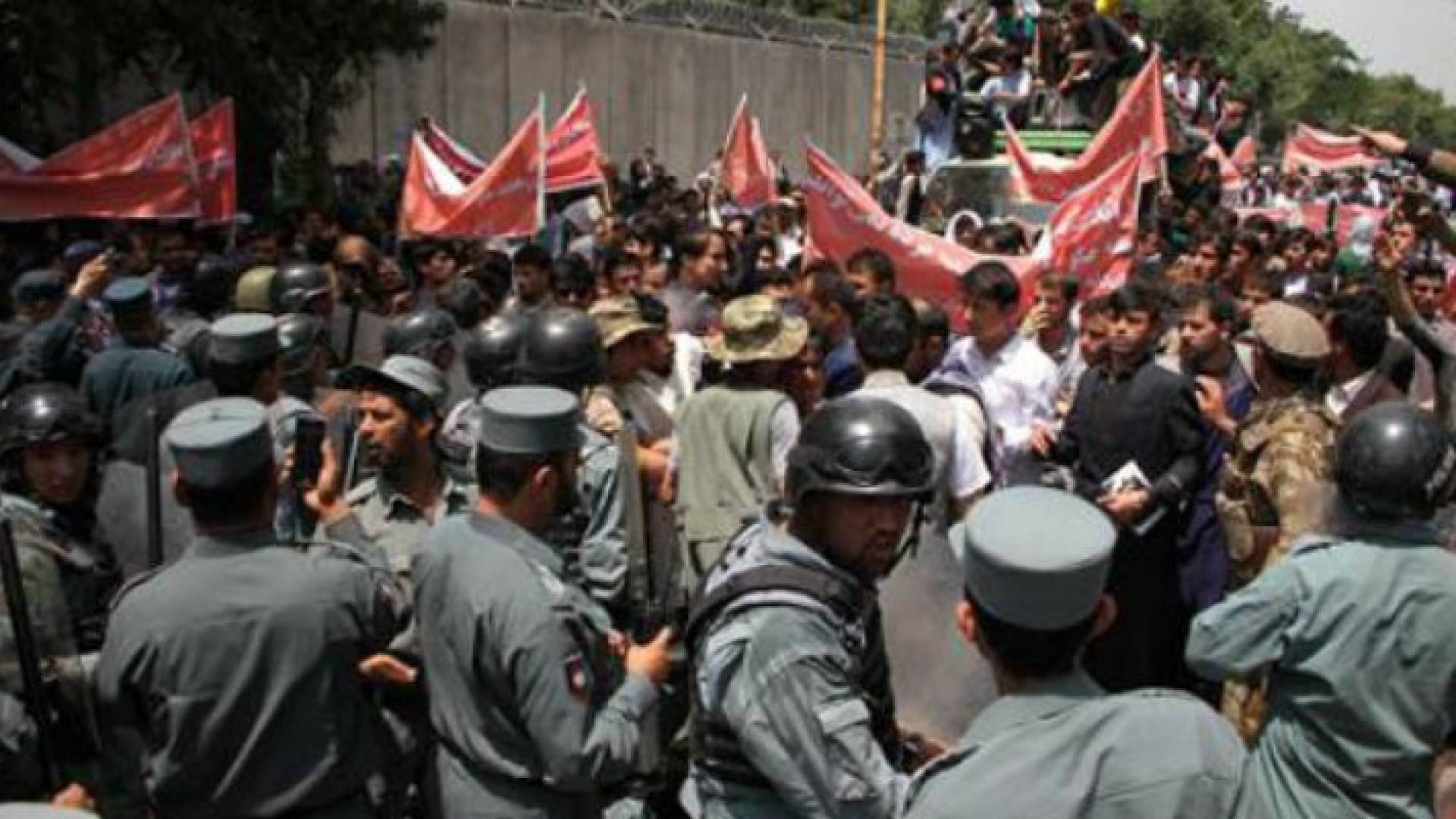 ارشيفية