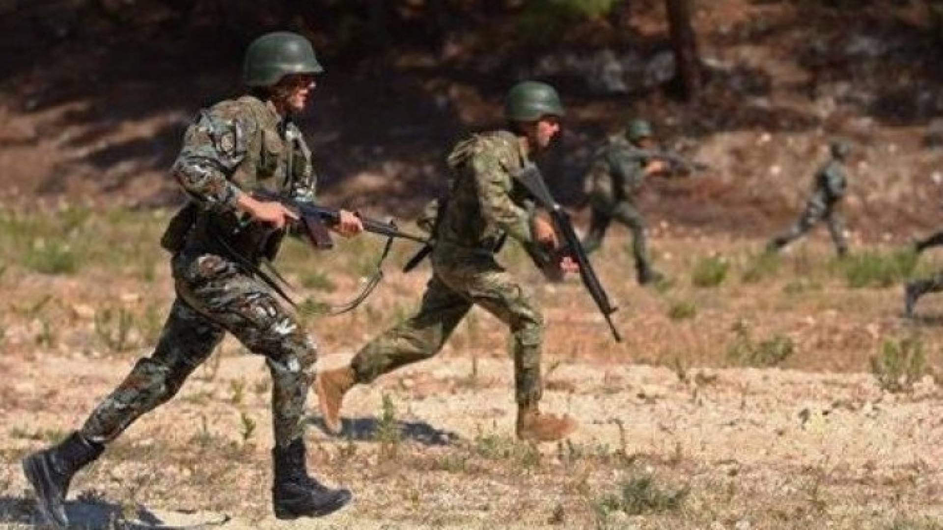 ارشيفية
