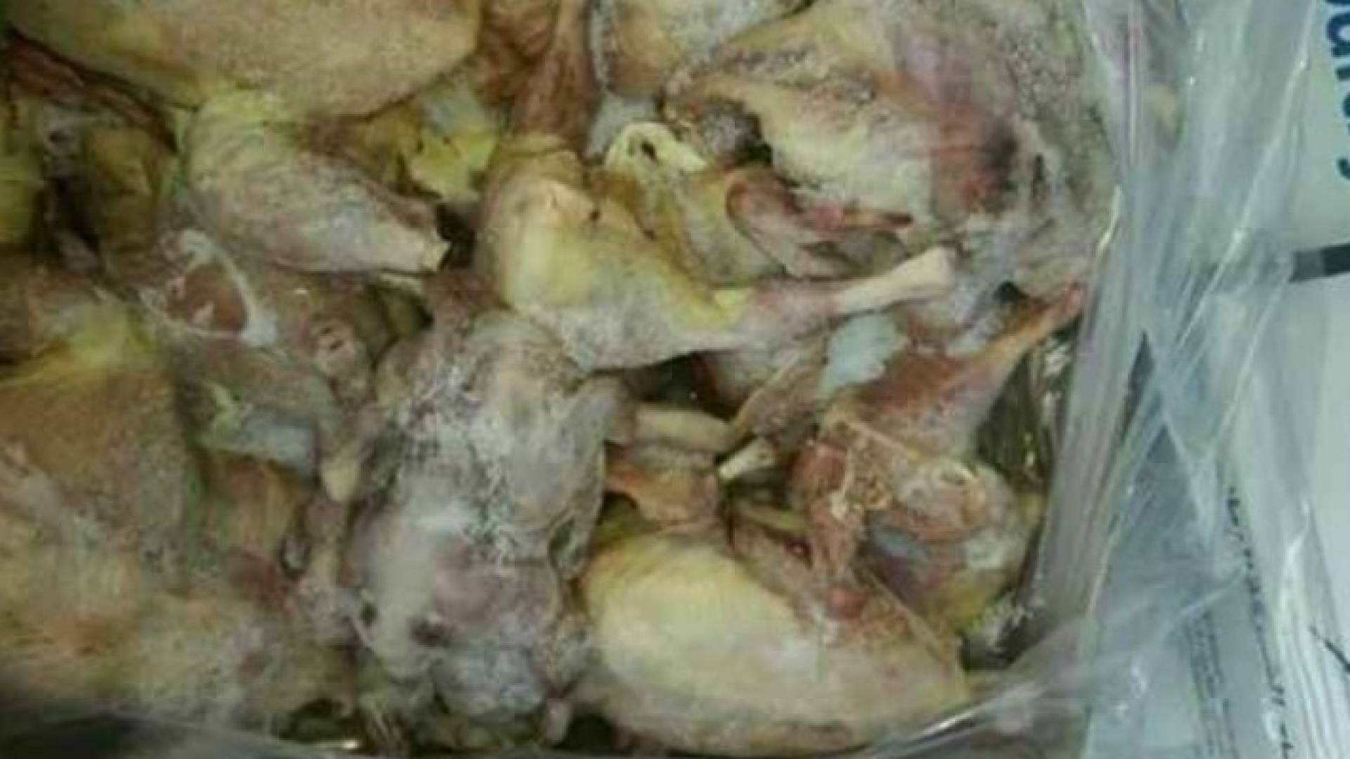 من المضبوطات