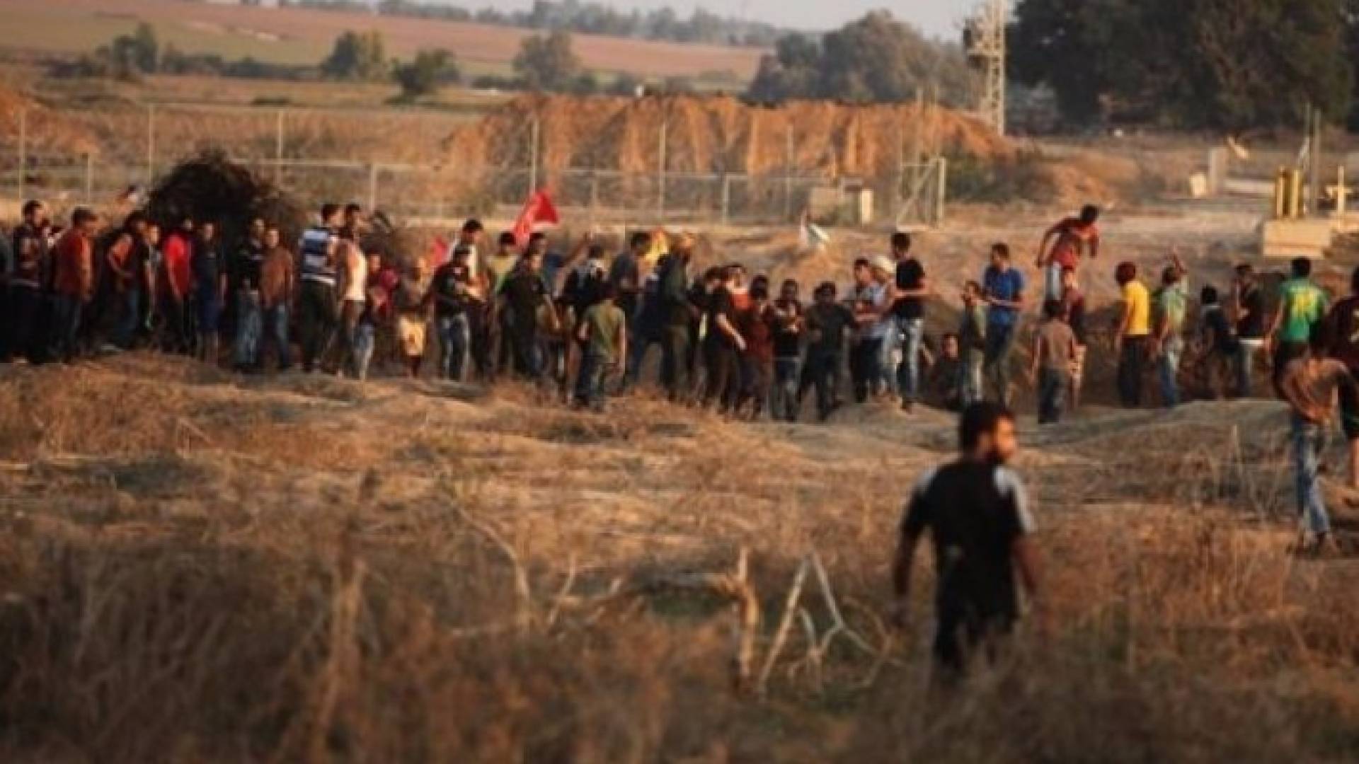 الصورة أرشيفية 