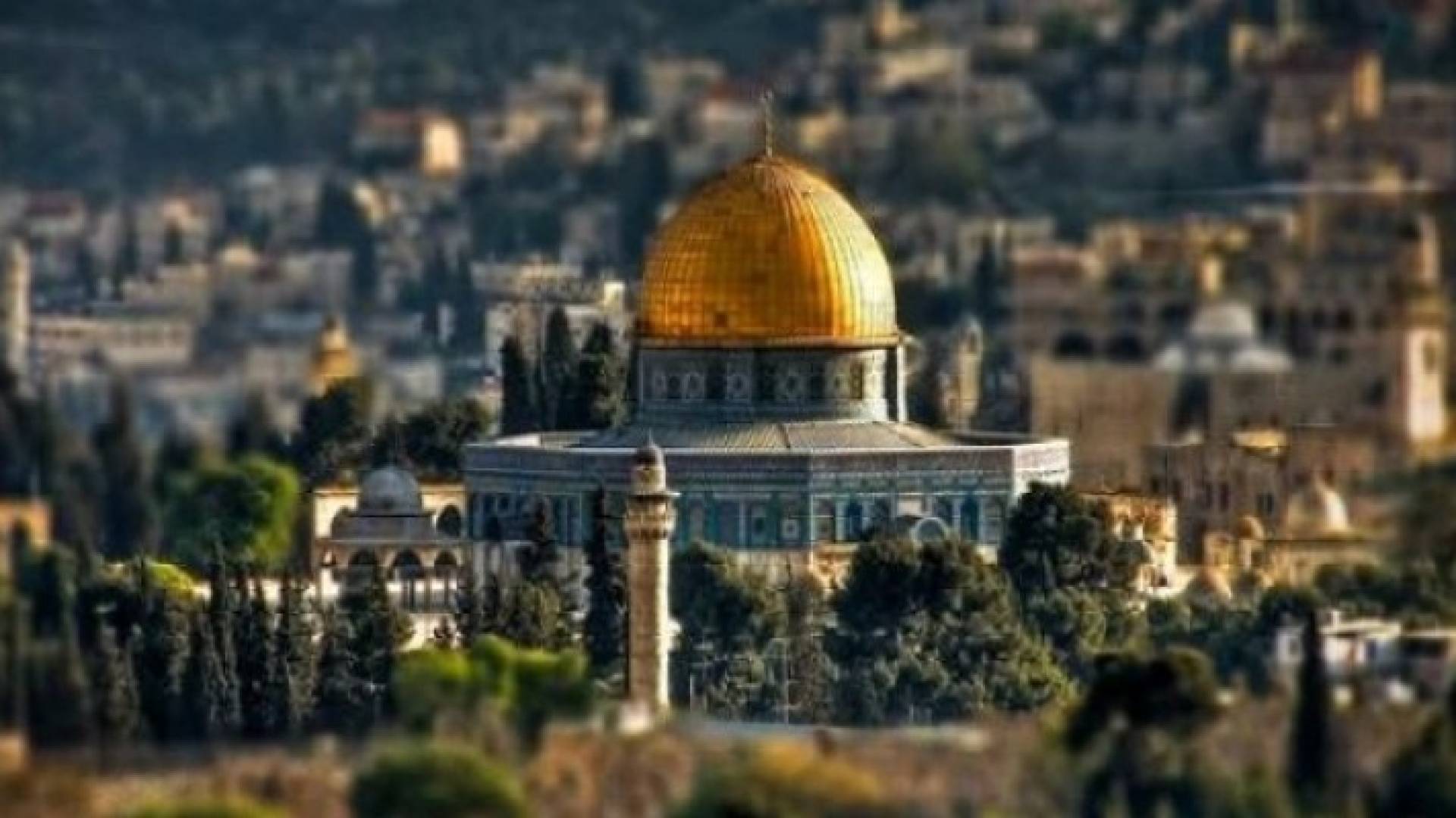 الصورة أرشيفية 