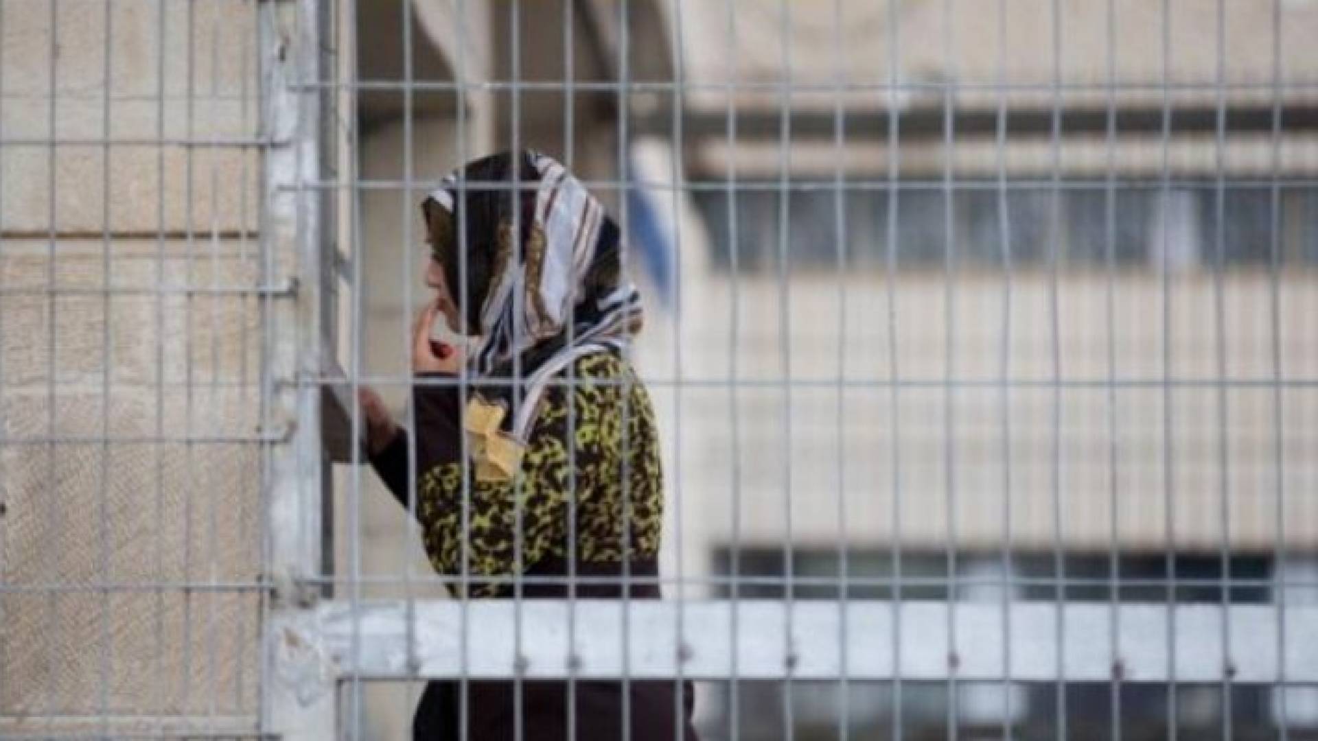  الأسيرات الفلسطينيات يتعرضن لسوء معاملة