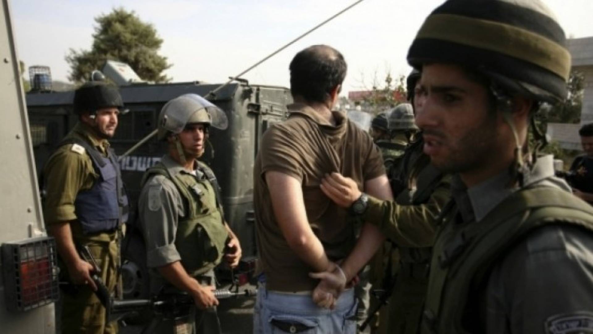 ارشيفية
