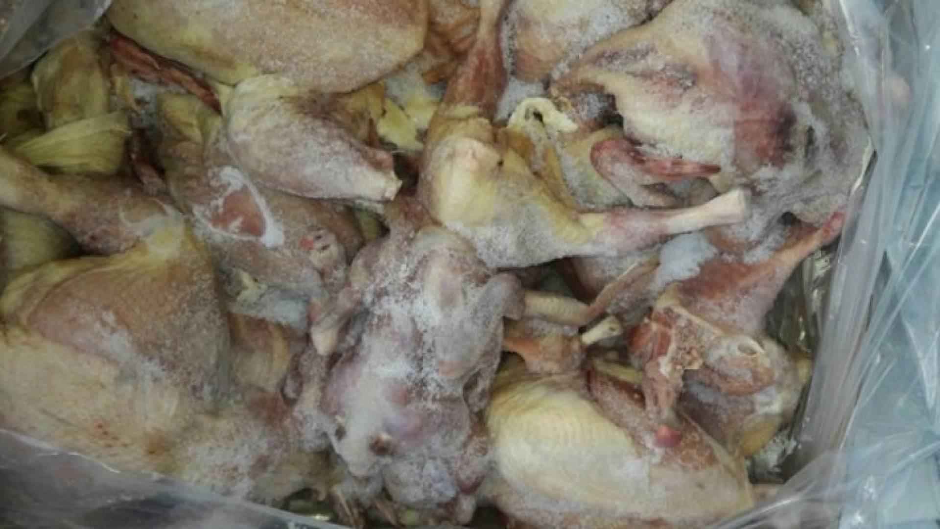 من الدجاج الفاسد