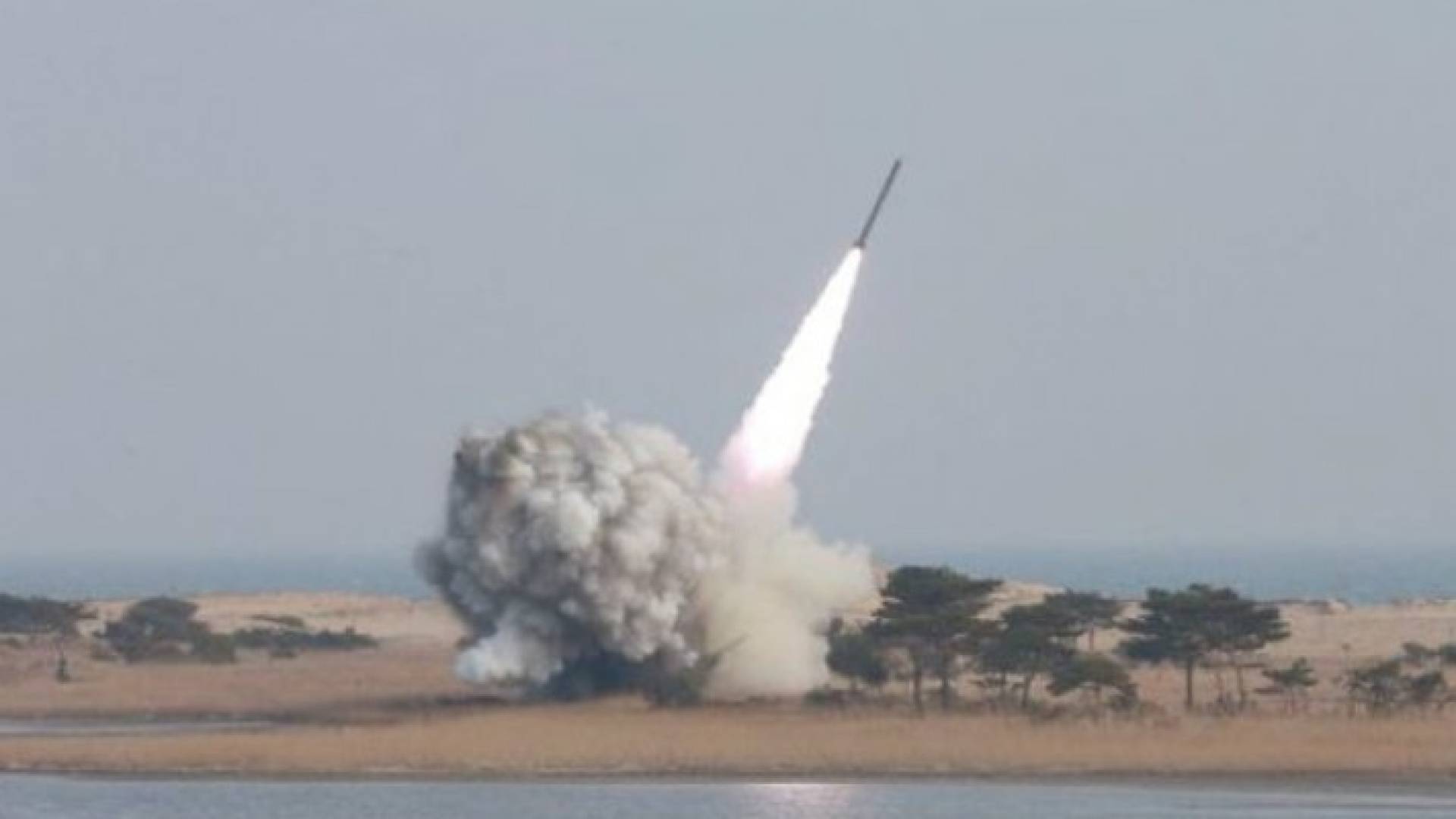 ارشيفية