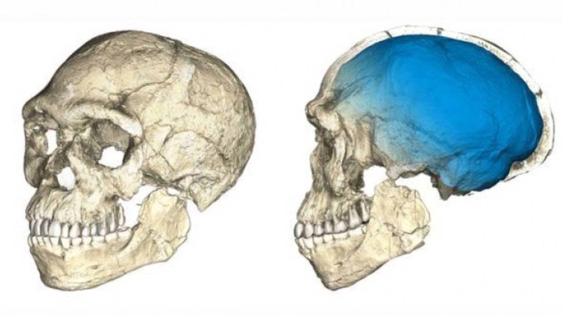  تم الإعلان عن هذا الكشف في باريس 