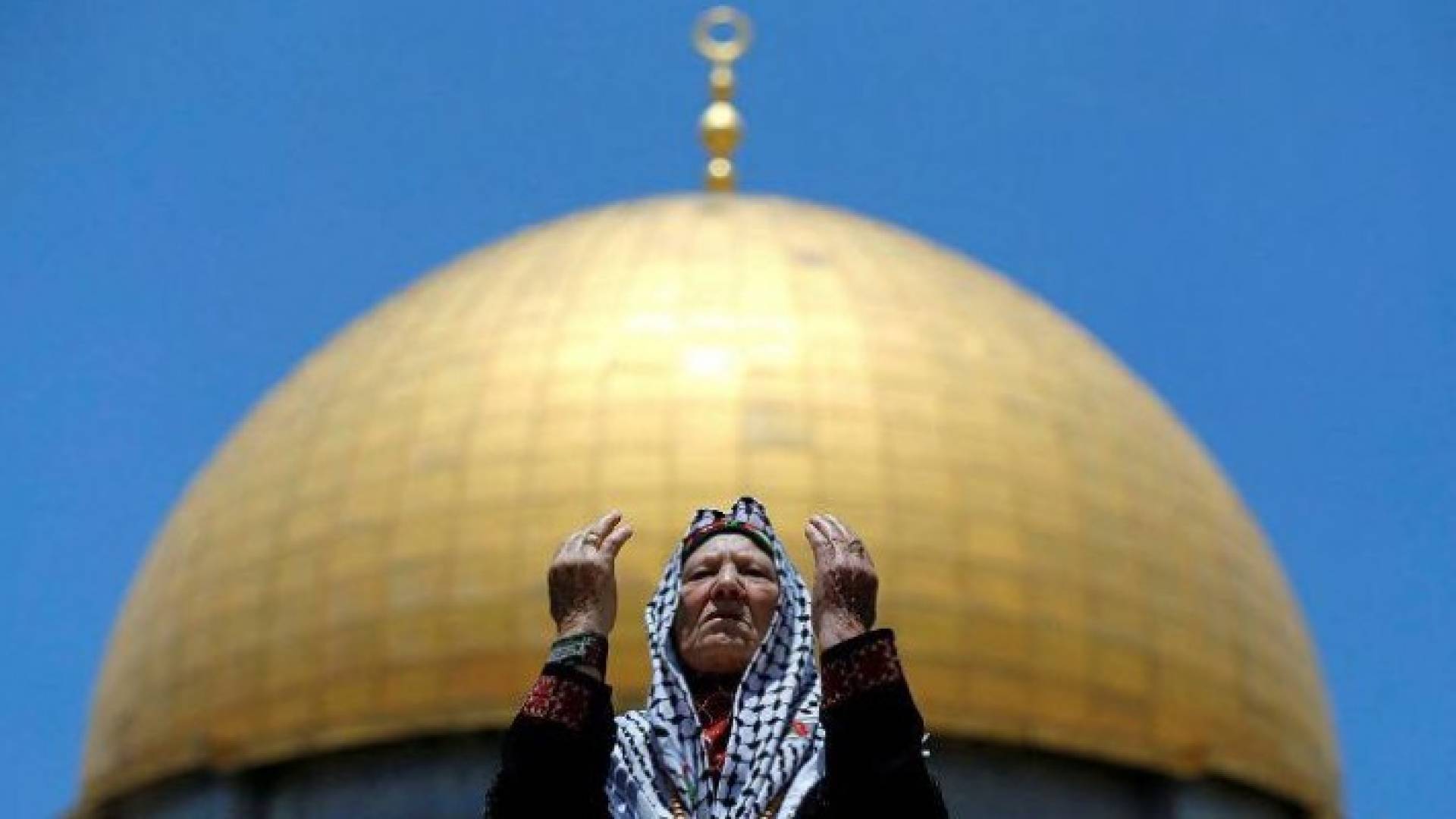 عدسة المصور الفلسطيني عمار عوض