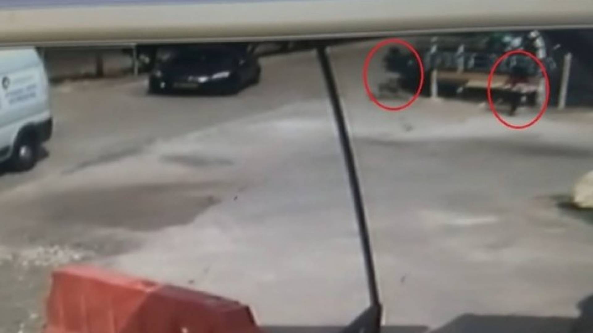 الصورة من الفيديو