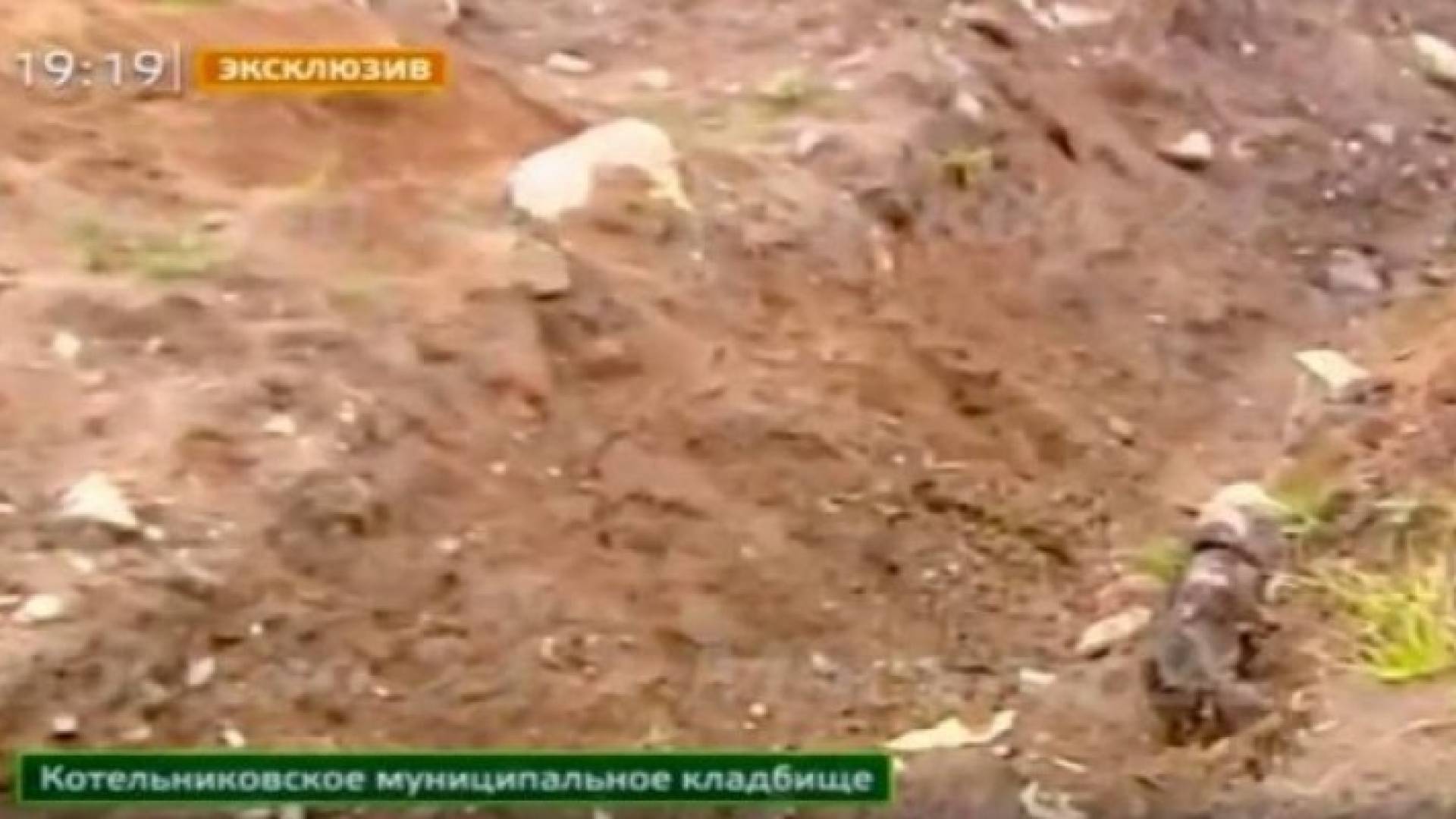 القبر الذي ظل فيه سلايف لمدة أربع ساعات