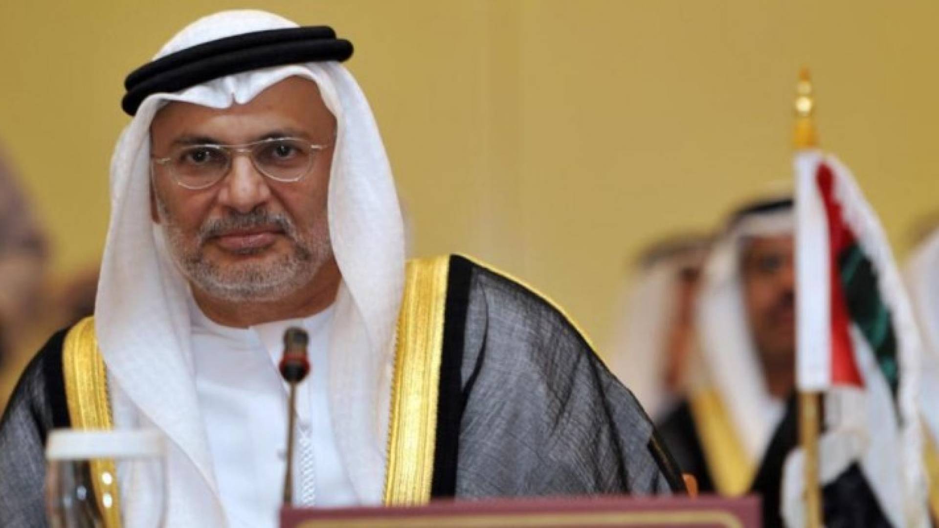 وزير الدولة الإماراتي للشؤون الخارجية أنور قرقاش