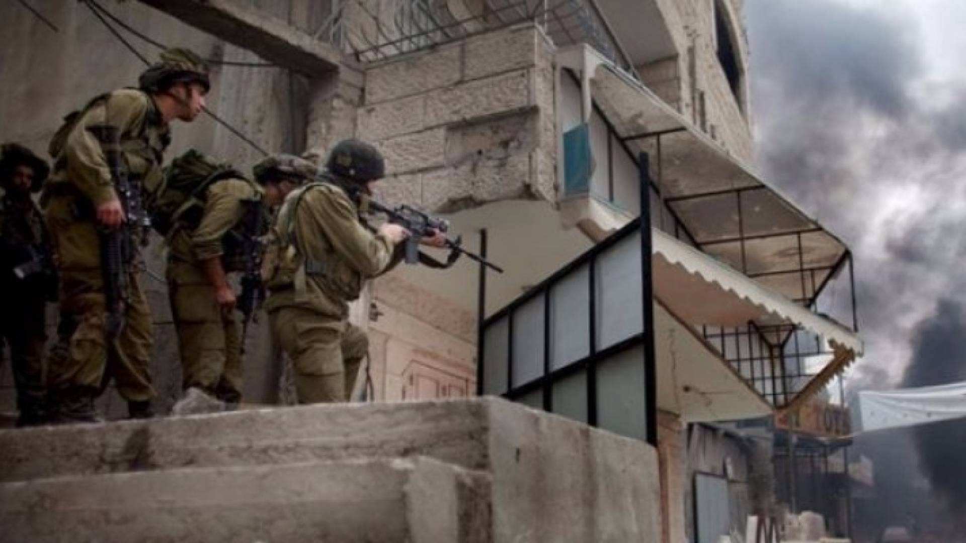 ارشيفية