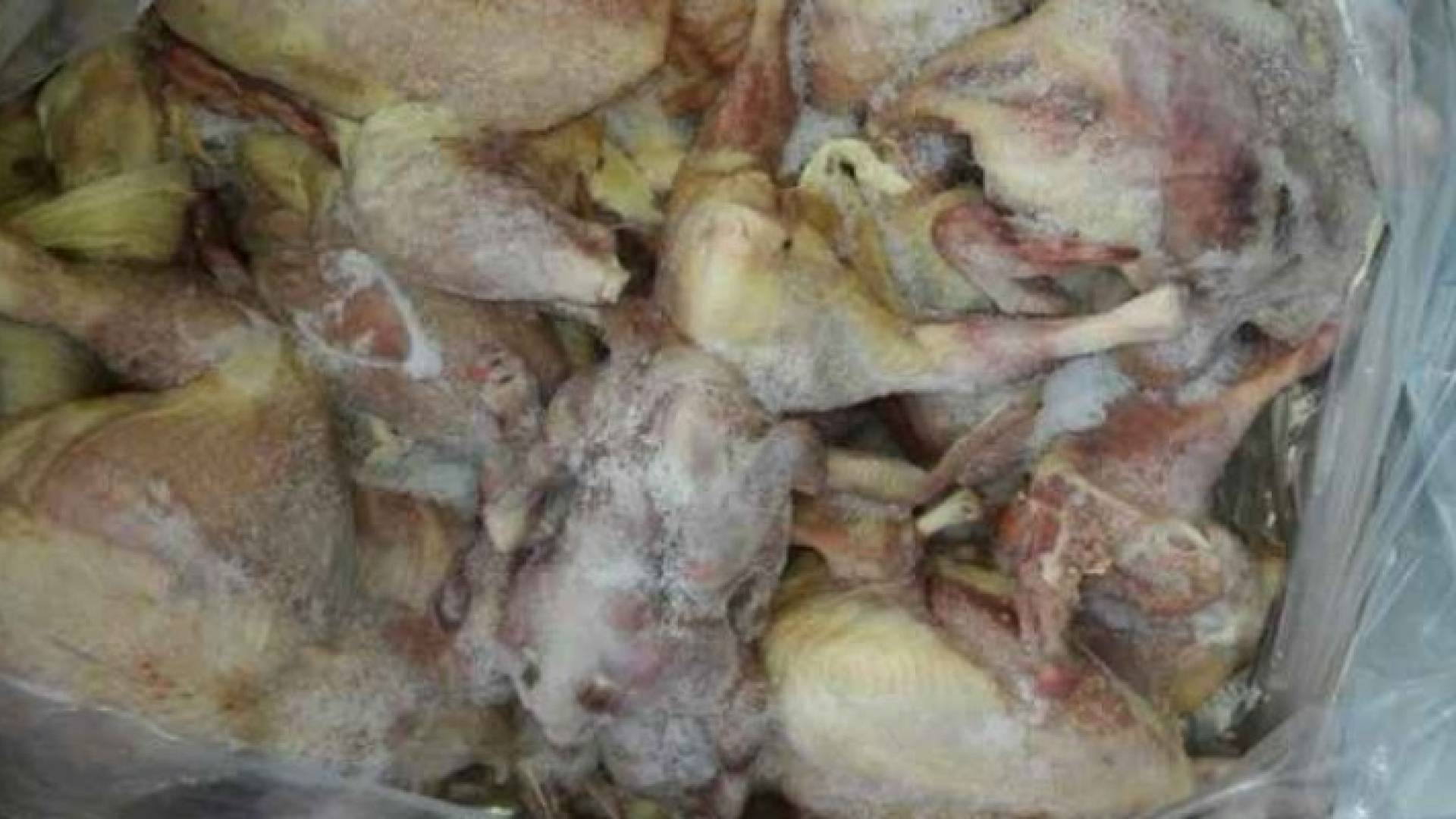 صورة من الدجاج الفاسد