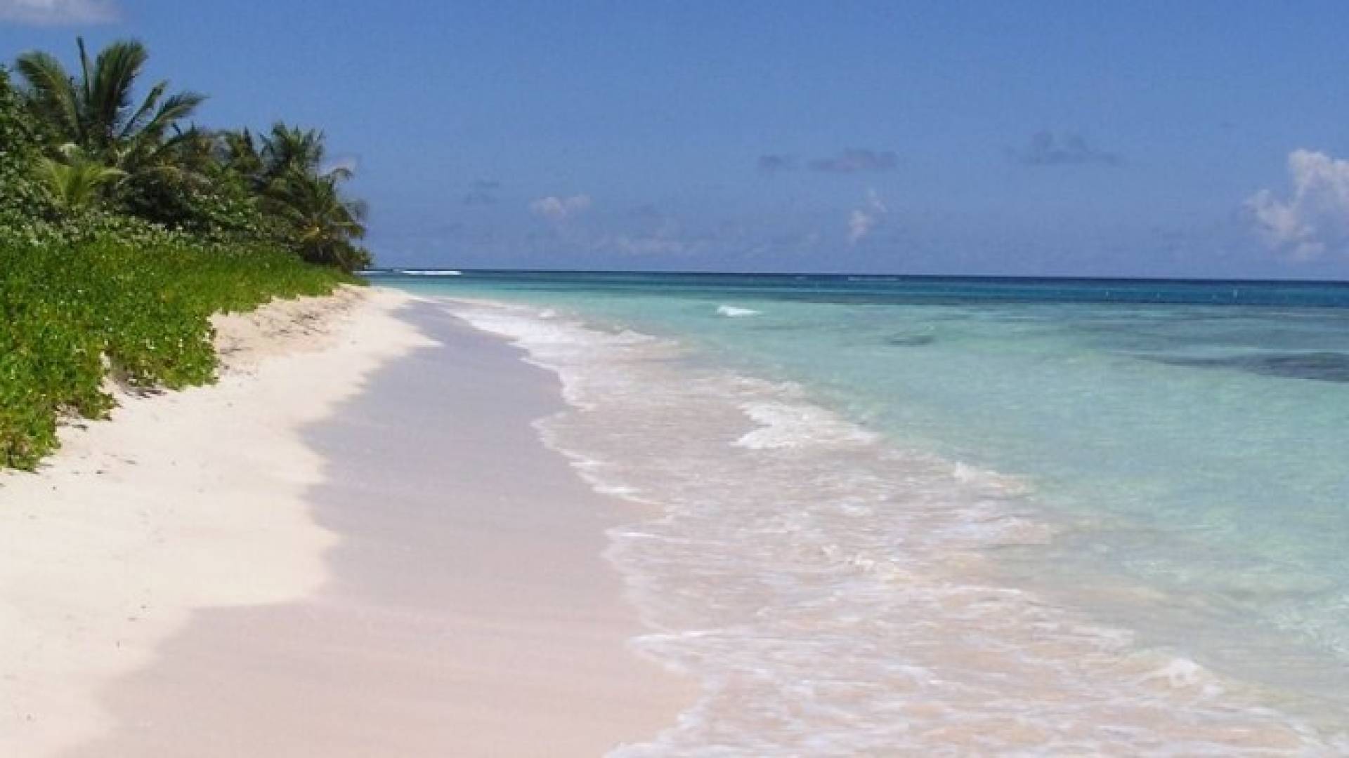 الصورة تعبيرية