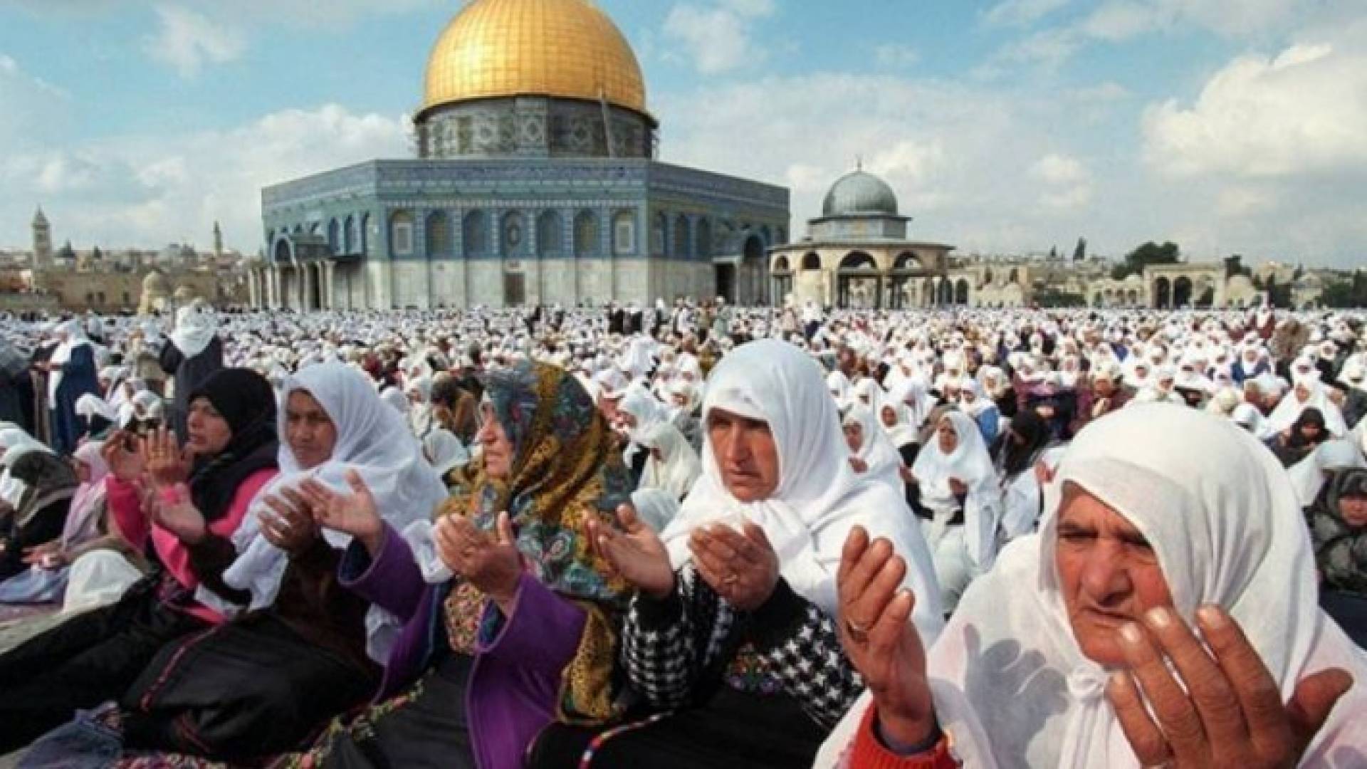 الصورة أرشيفية 