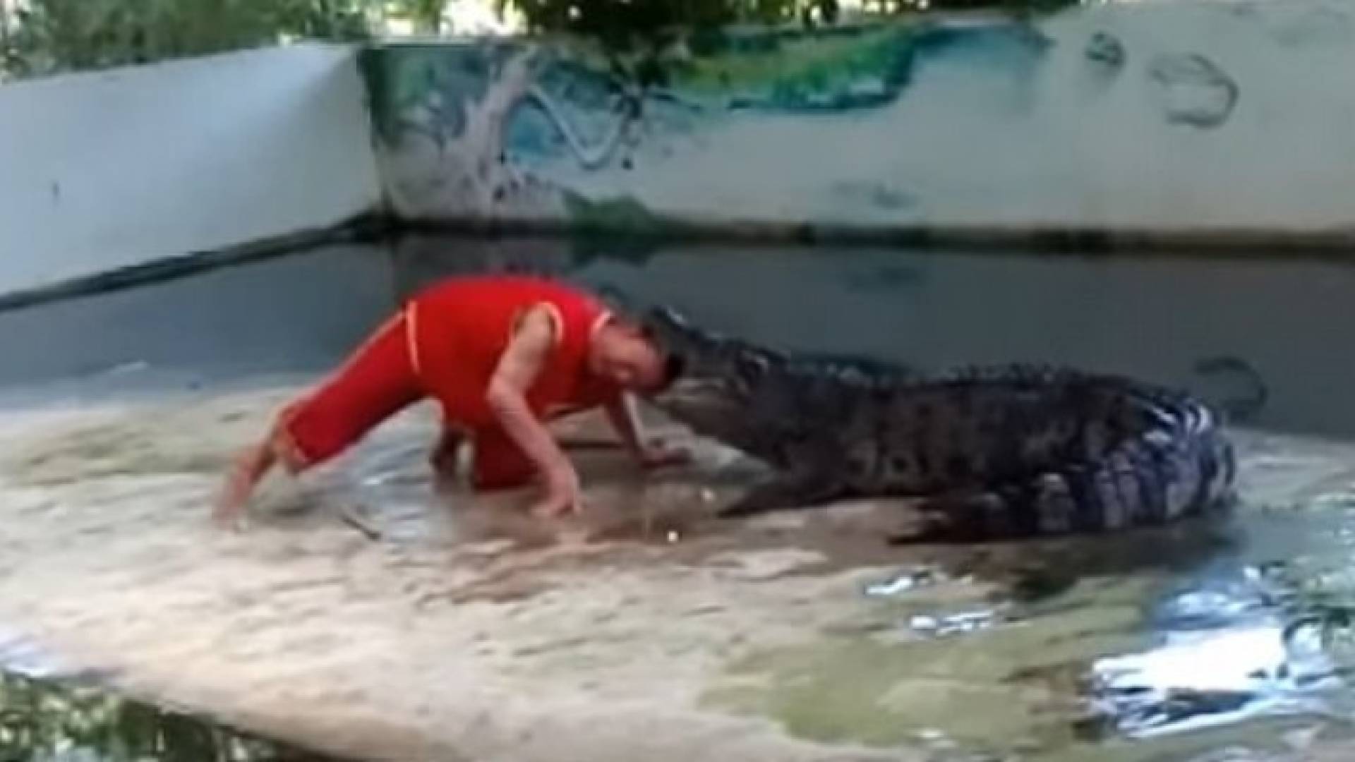 ارشيفية