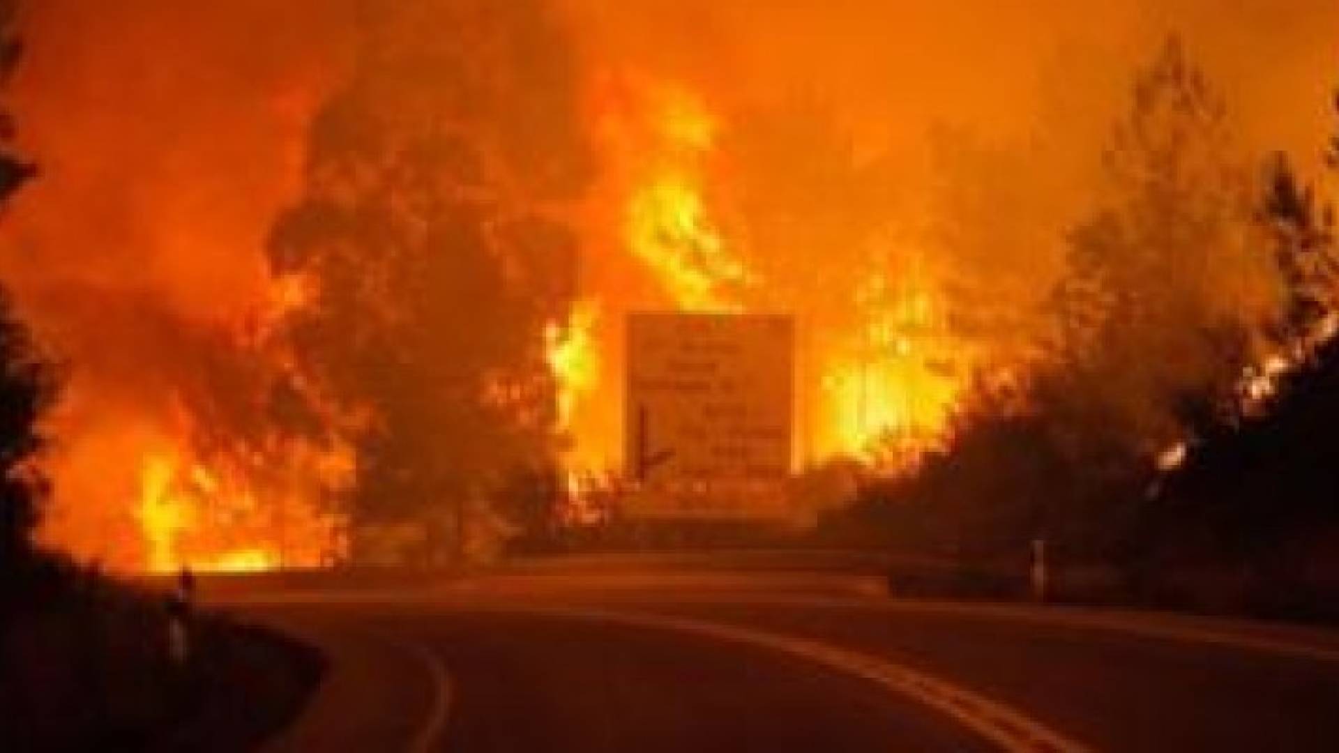 حاصرت حرائق الغابات منطقة بدروغاو غراند في البرتغال من الجهات الأربعة