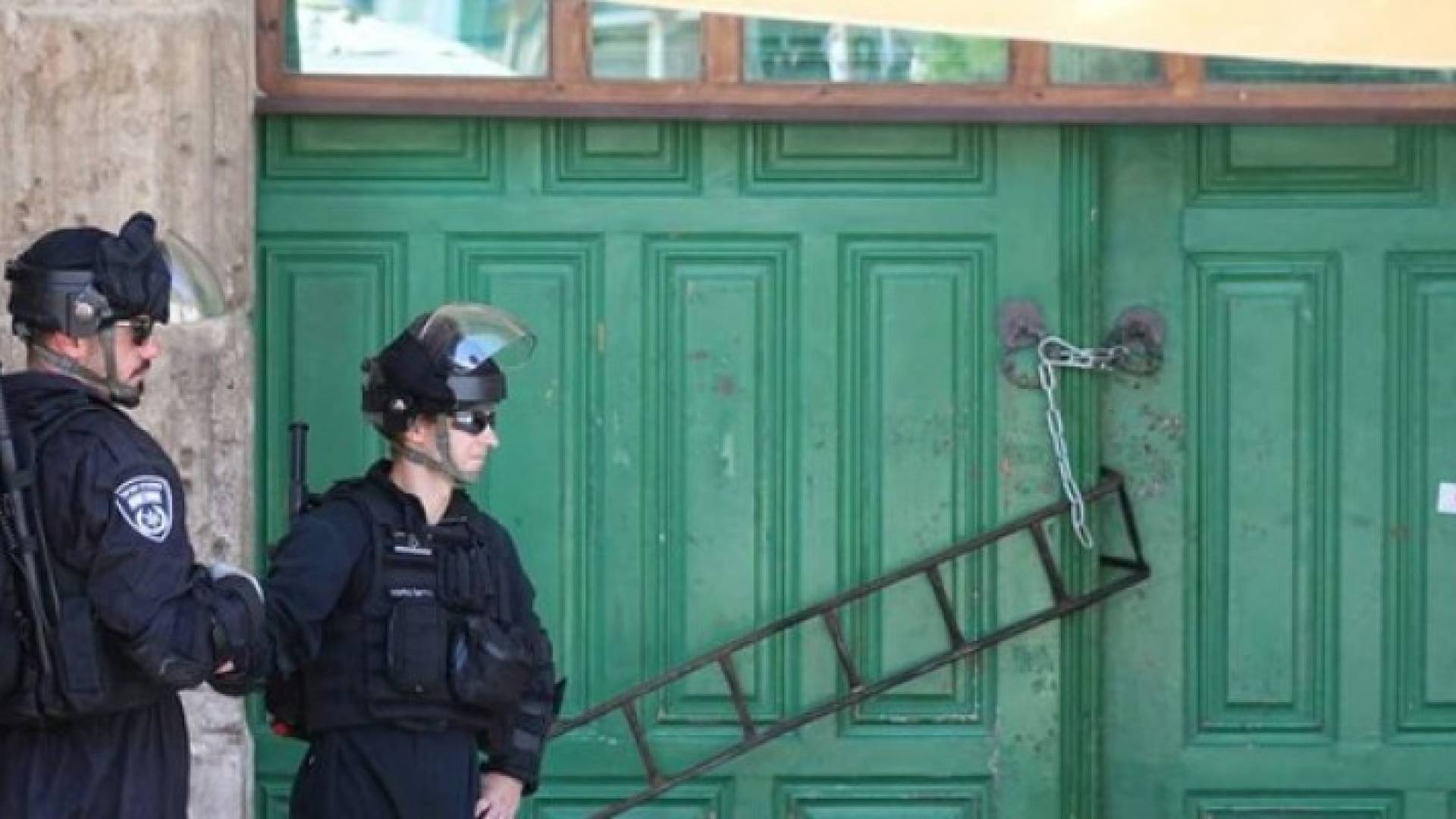 ارشيفية