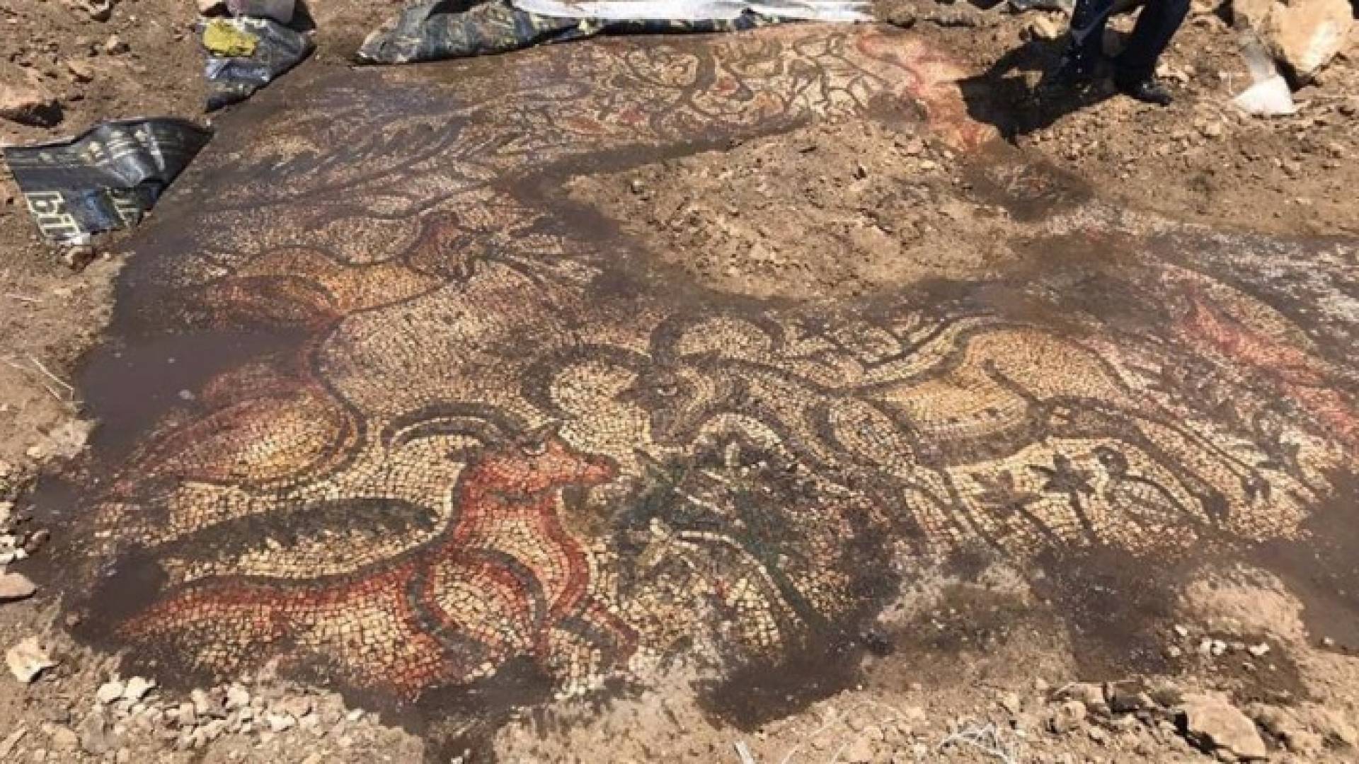 العثور على لوحة فسيفساء تعود للعصر الروماني.