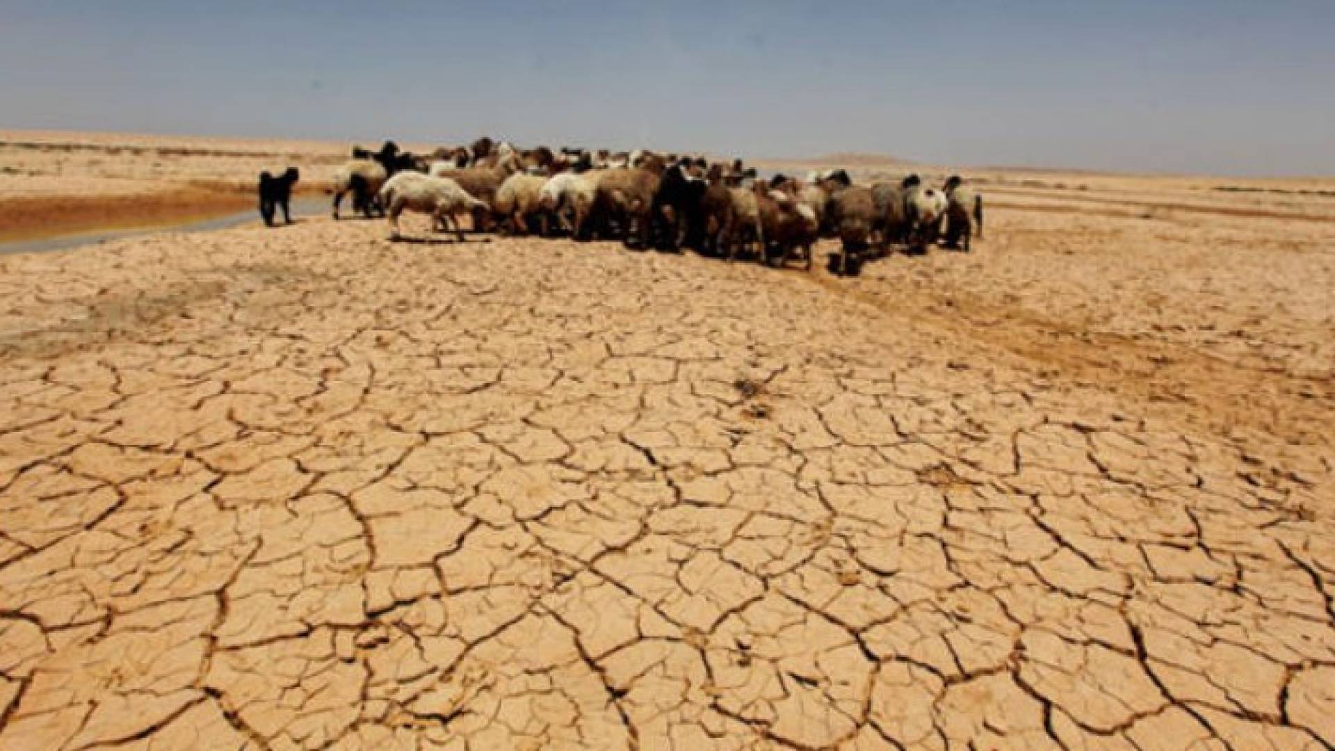 الصورة أرشيفية 