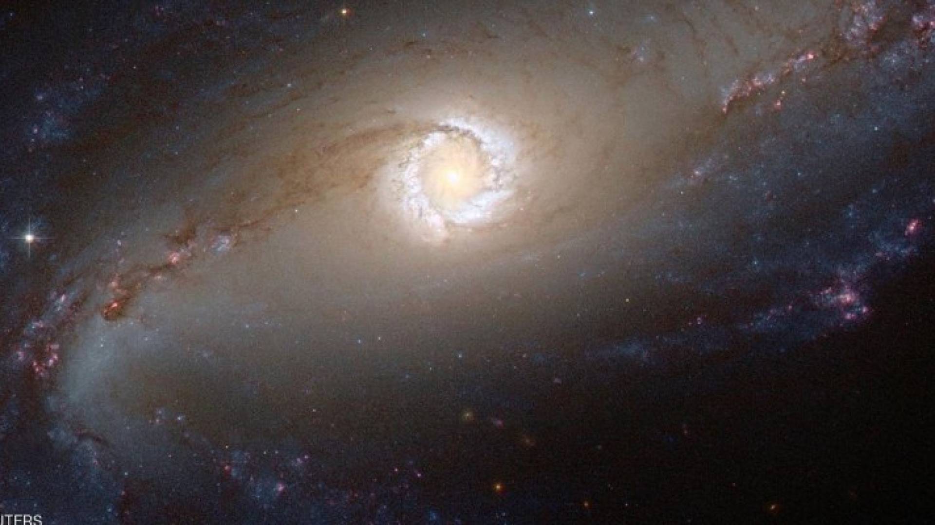 ارشيفية لرويترز