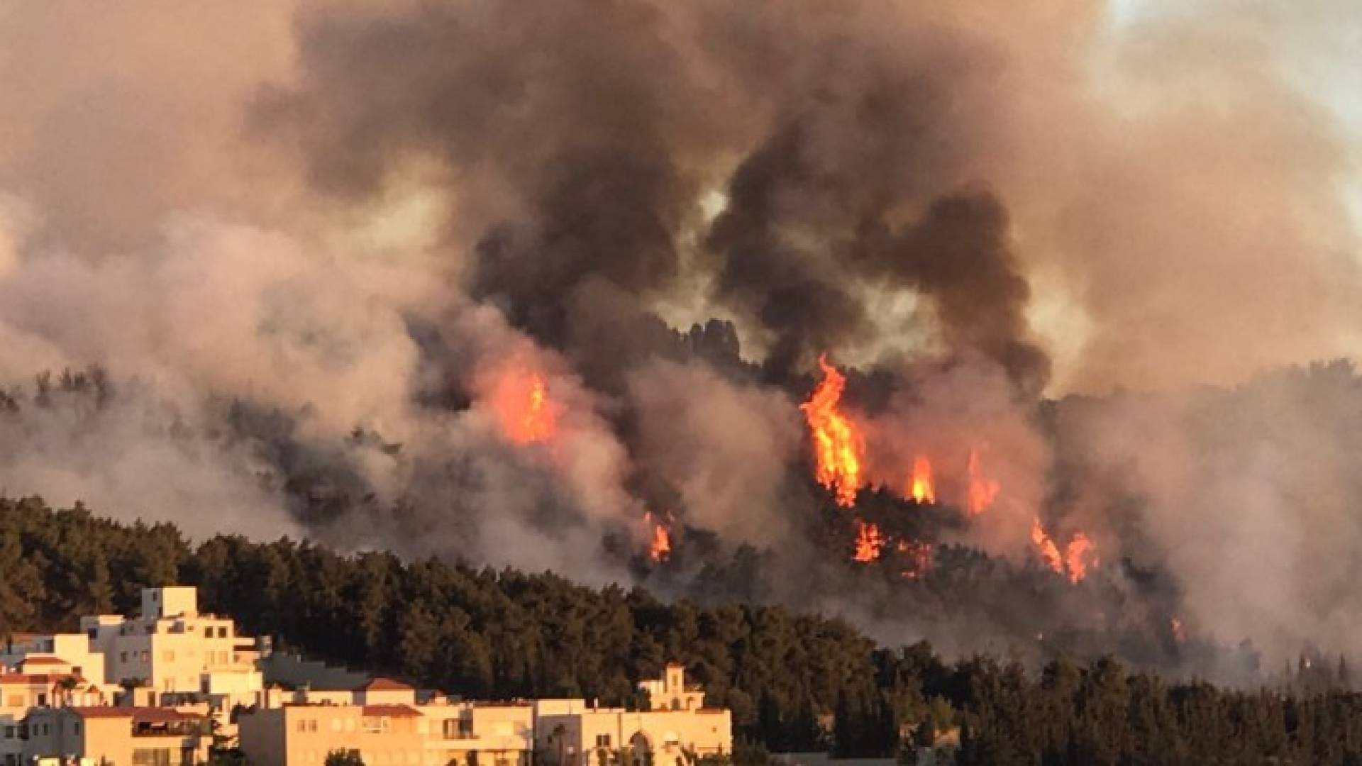 من حريق الكمالية