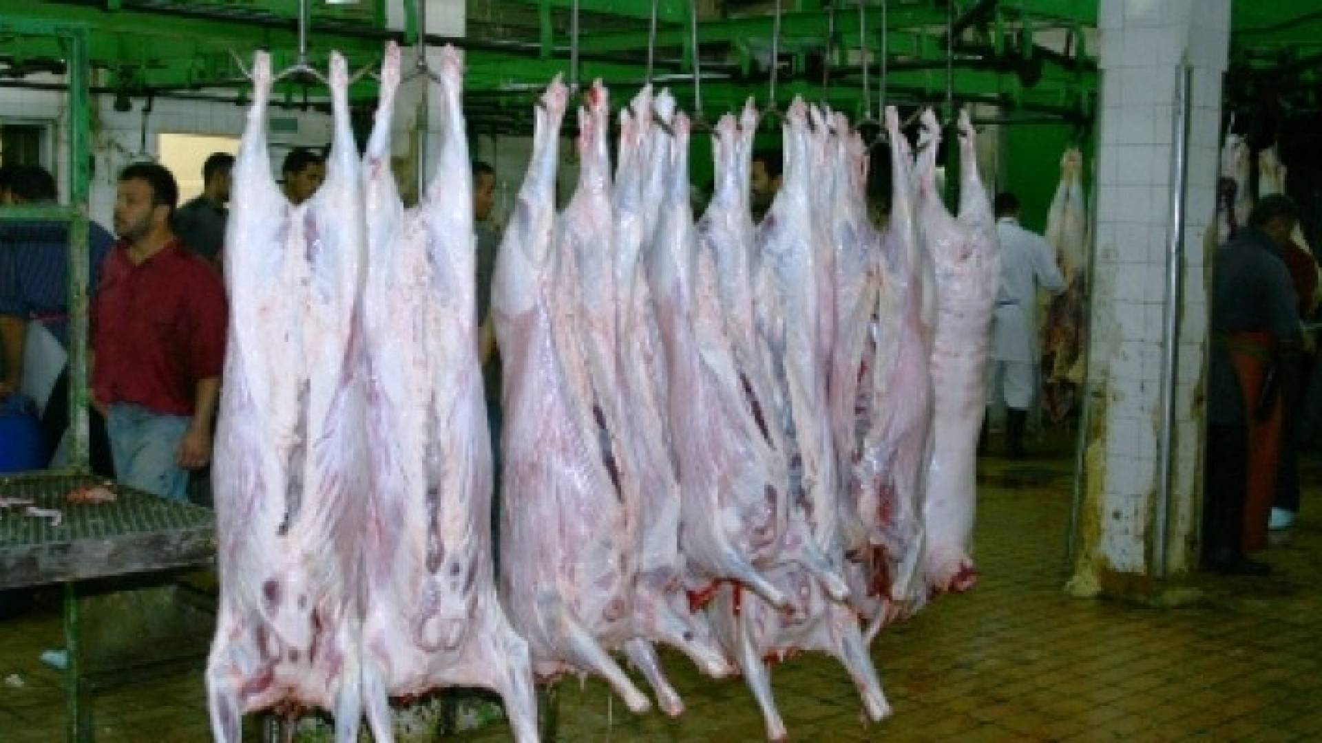 مسلخ أمانة عمان 