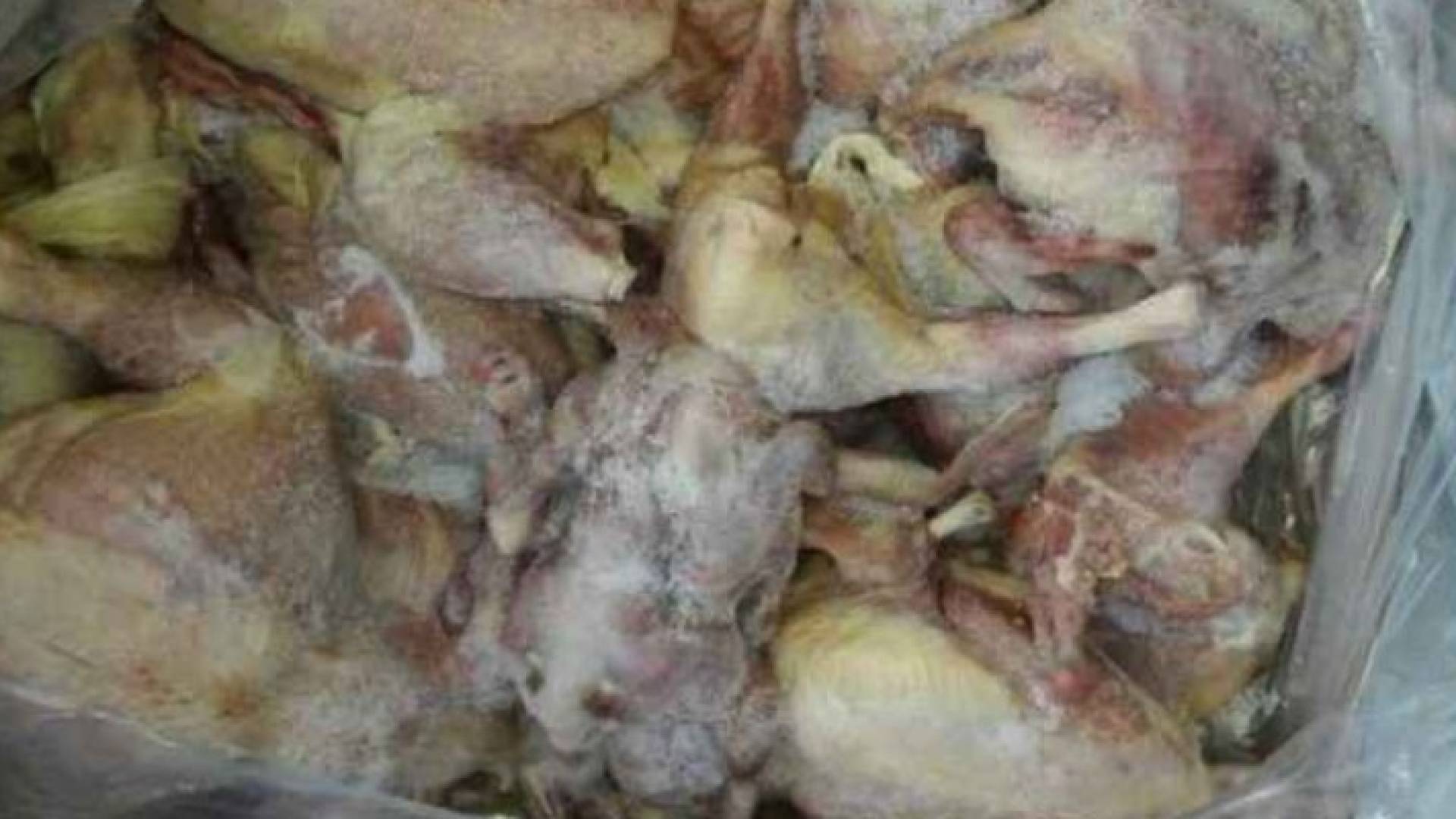  صورة من الدجاج الفاسد