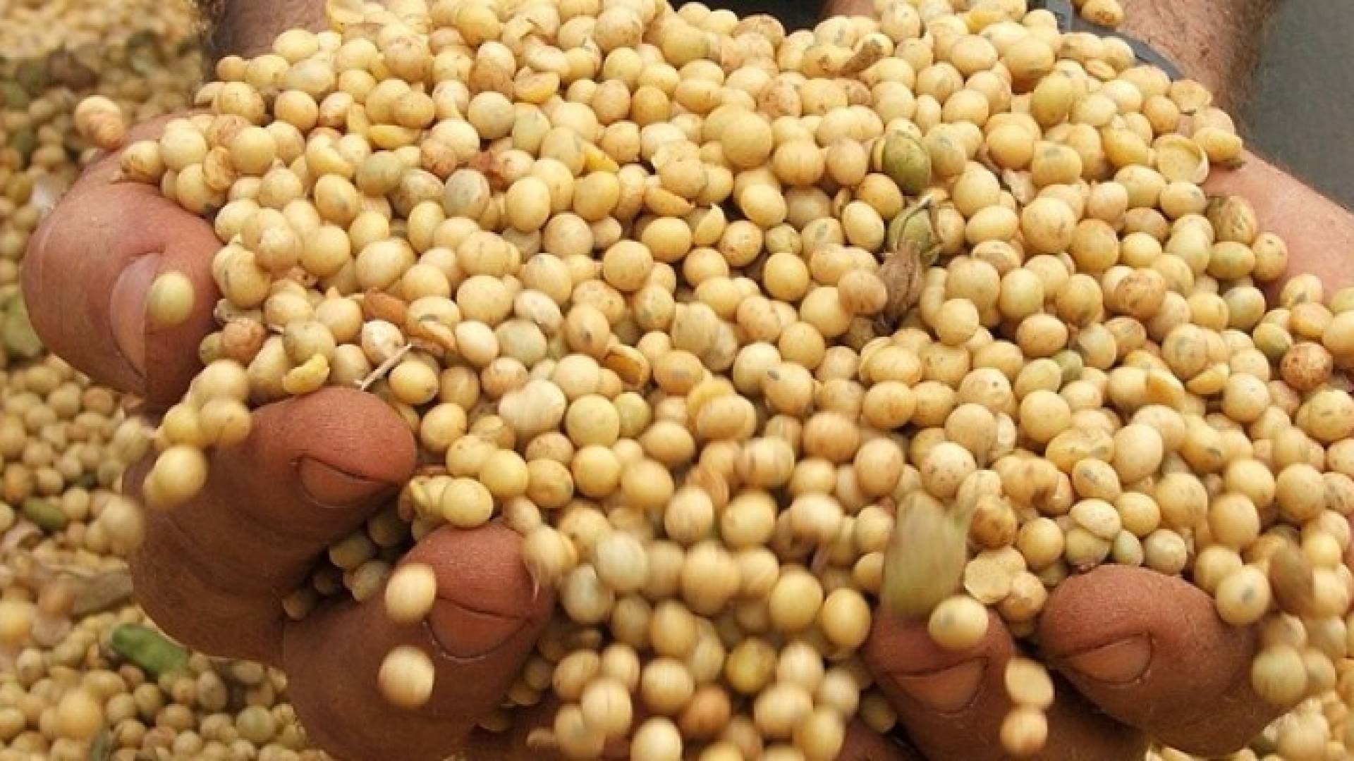 الصورة أرشيفية